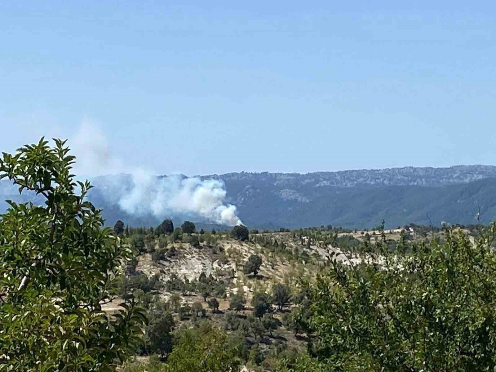Bozyazı’da orman yangını