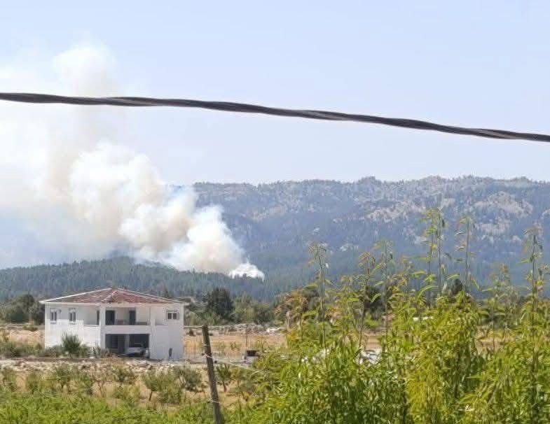 Bozyazı’da orman yangını