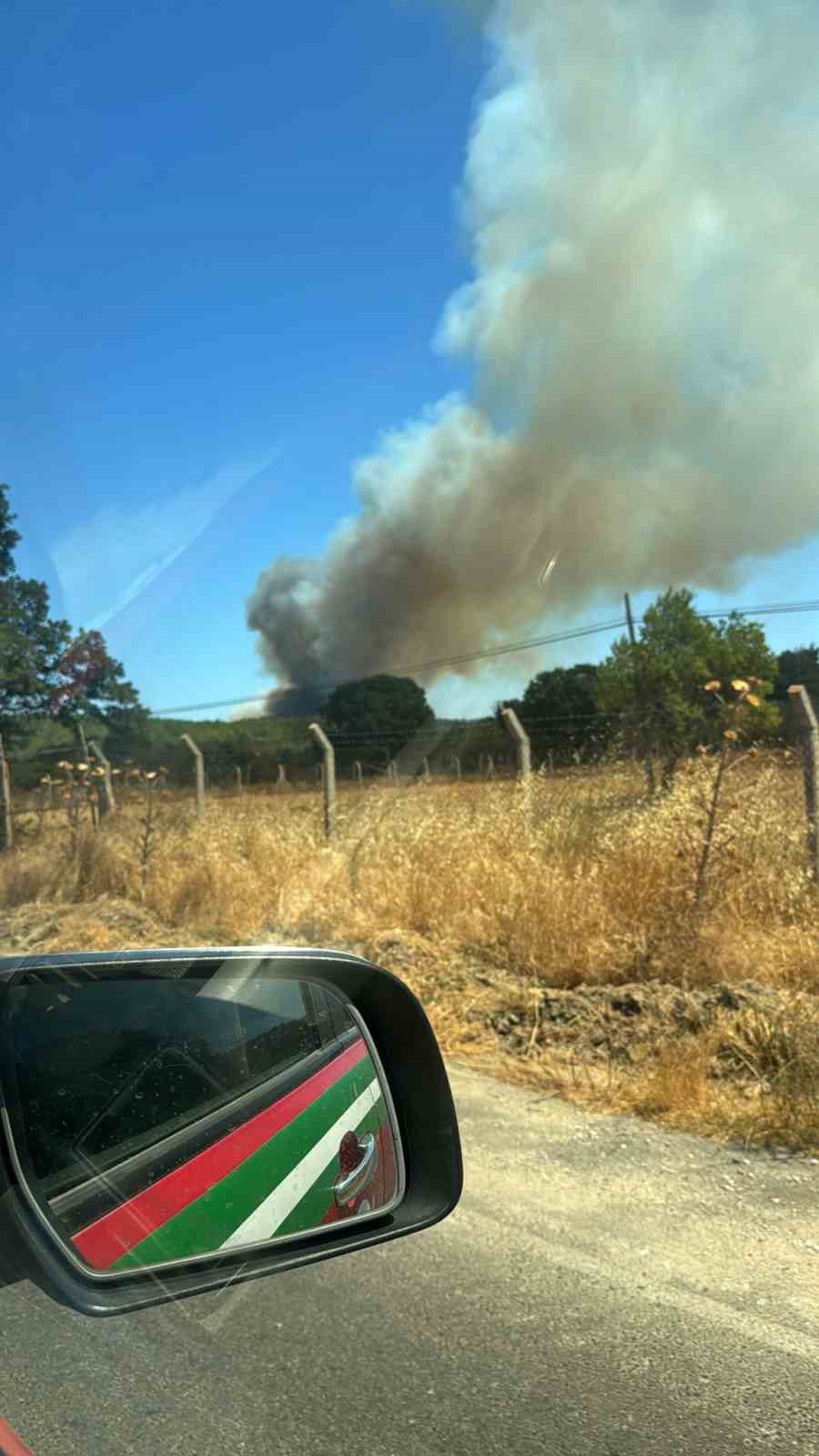&Ccedil;anakkale&rsquo;de tarım arazisinde başlayan yangın ormanlık alana sı&ccedil;radı
