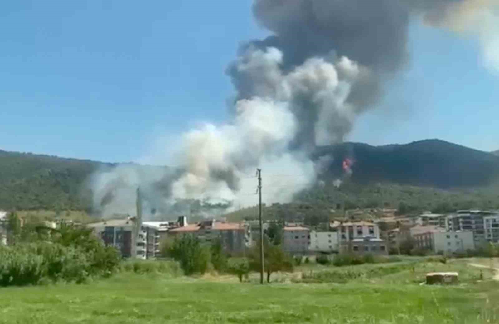 Soma’da orman yangını