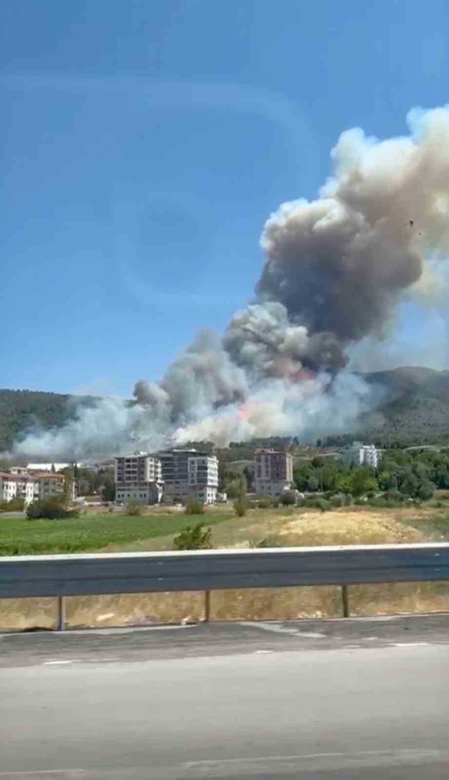 Soma&rsquo;da orman yangını
