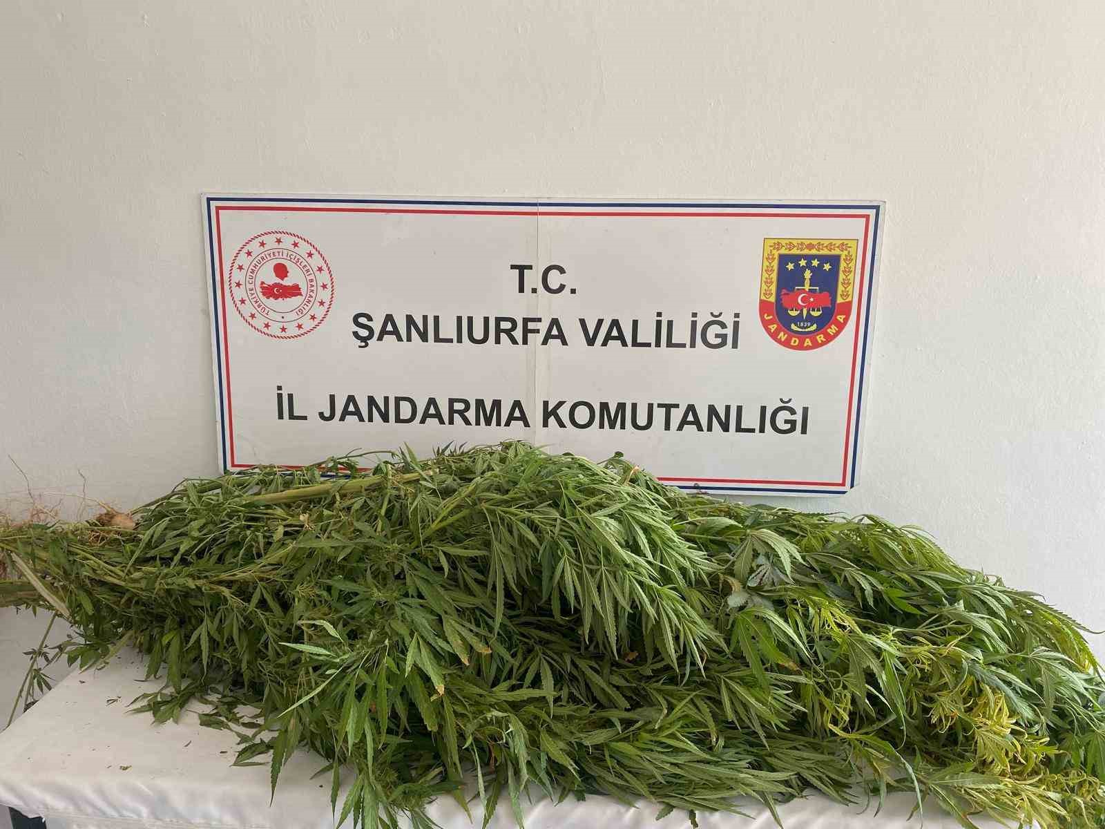 Şanlıurfa’da uyuşturucu operasyonu: 2 gözaltı