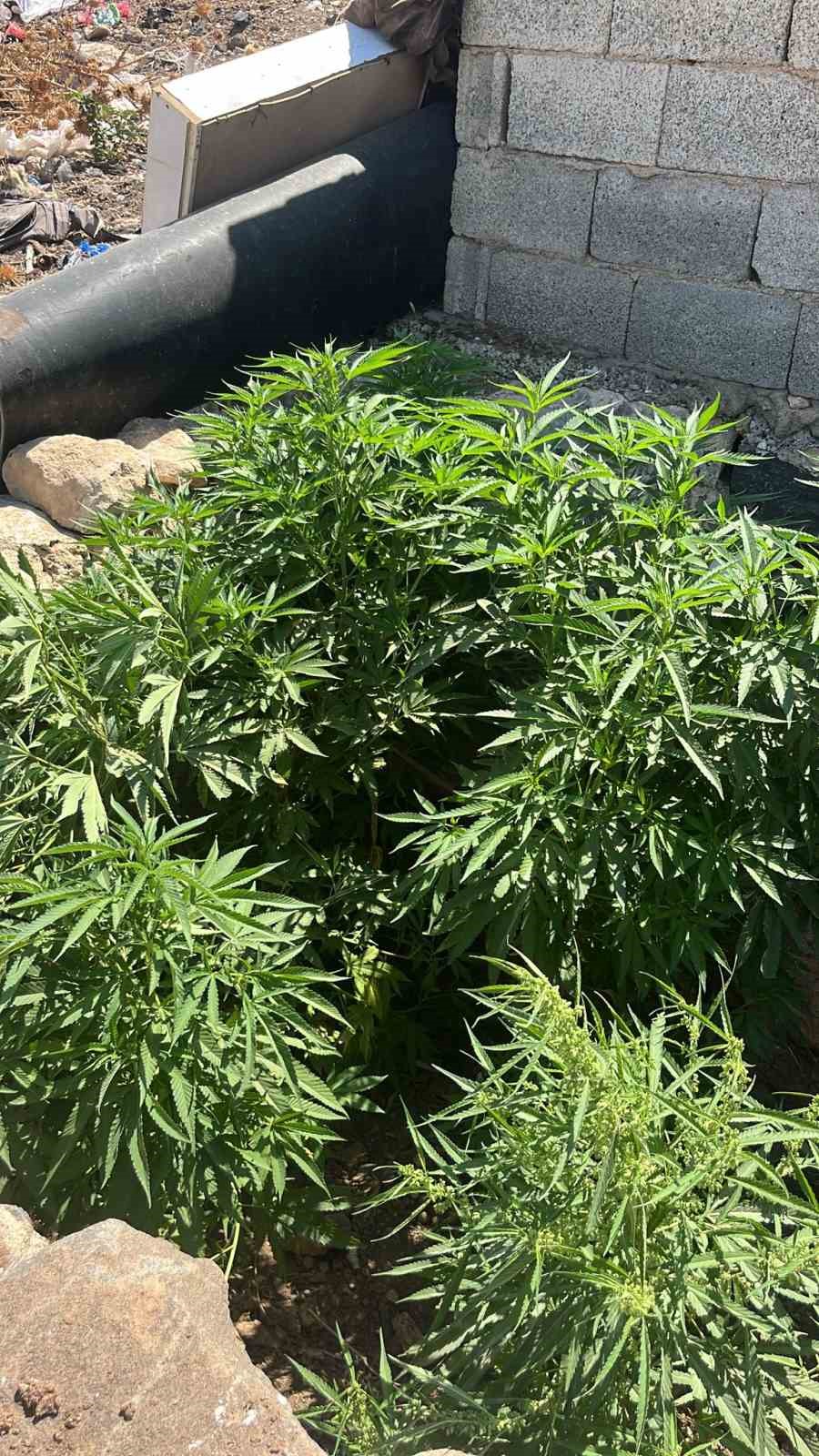 Şanlıurfa&rsquo;da uyuşturucu operasyonu: 2 g&ouml;zaltı
