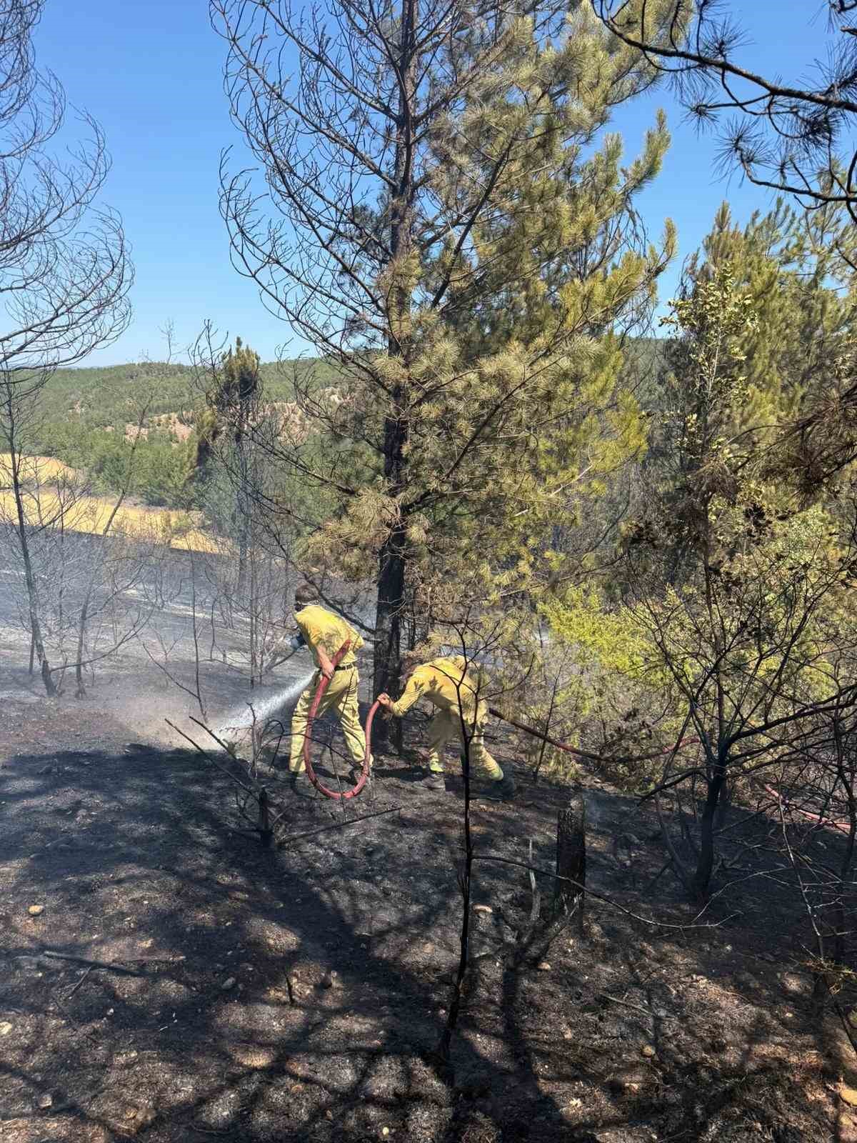 Kastamonu’da ormanlık alanda çıkan yangında samanlık, kümes ve baraka kullanılamaz hale geldi