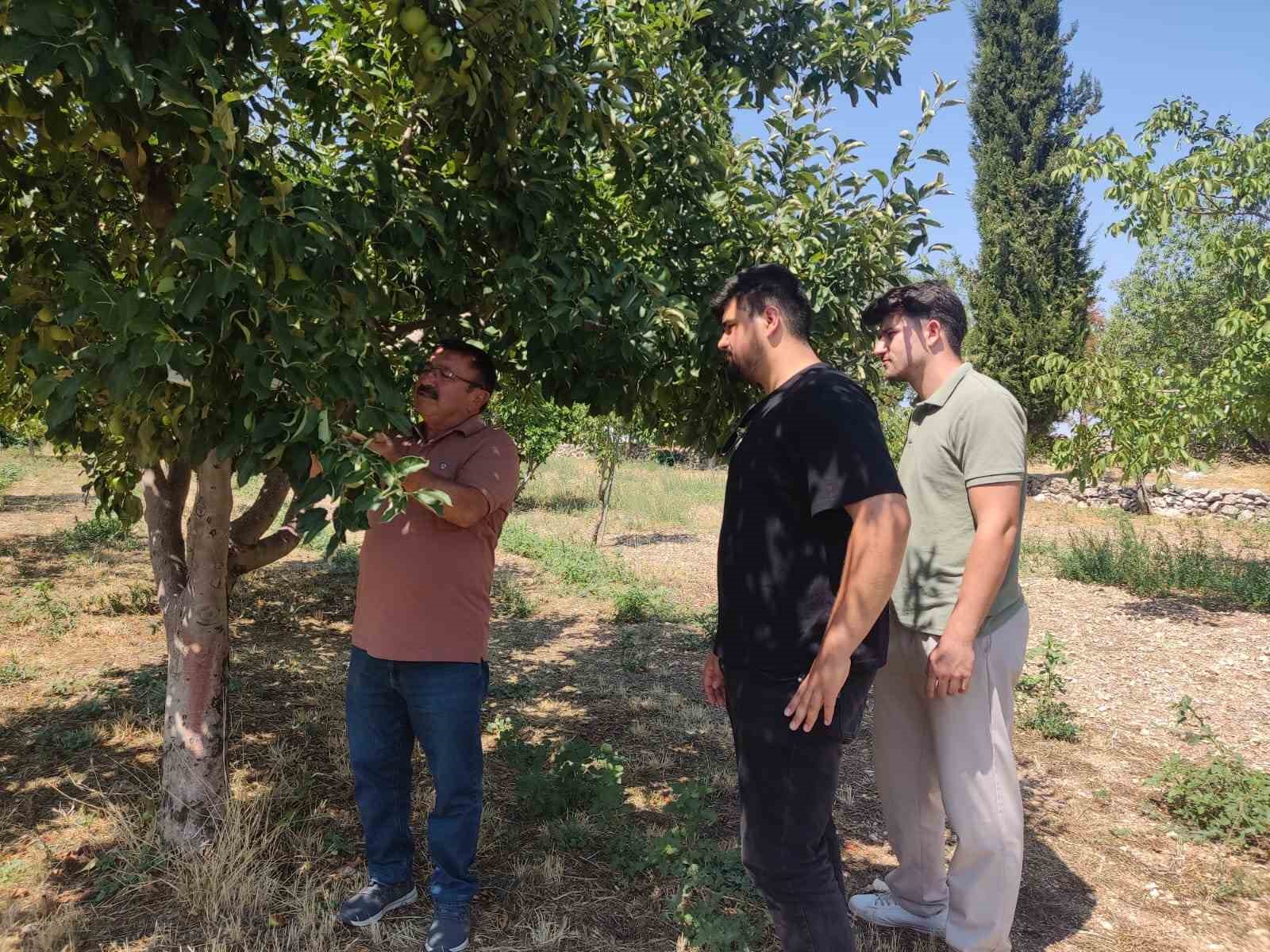 Uşak&rsquo;ta tarımsal zararlılarla m&uuml;cadele &ccedil;alışması
