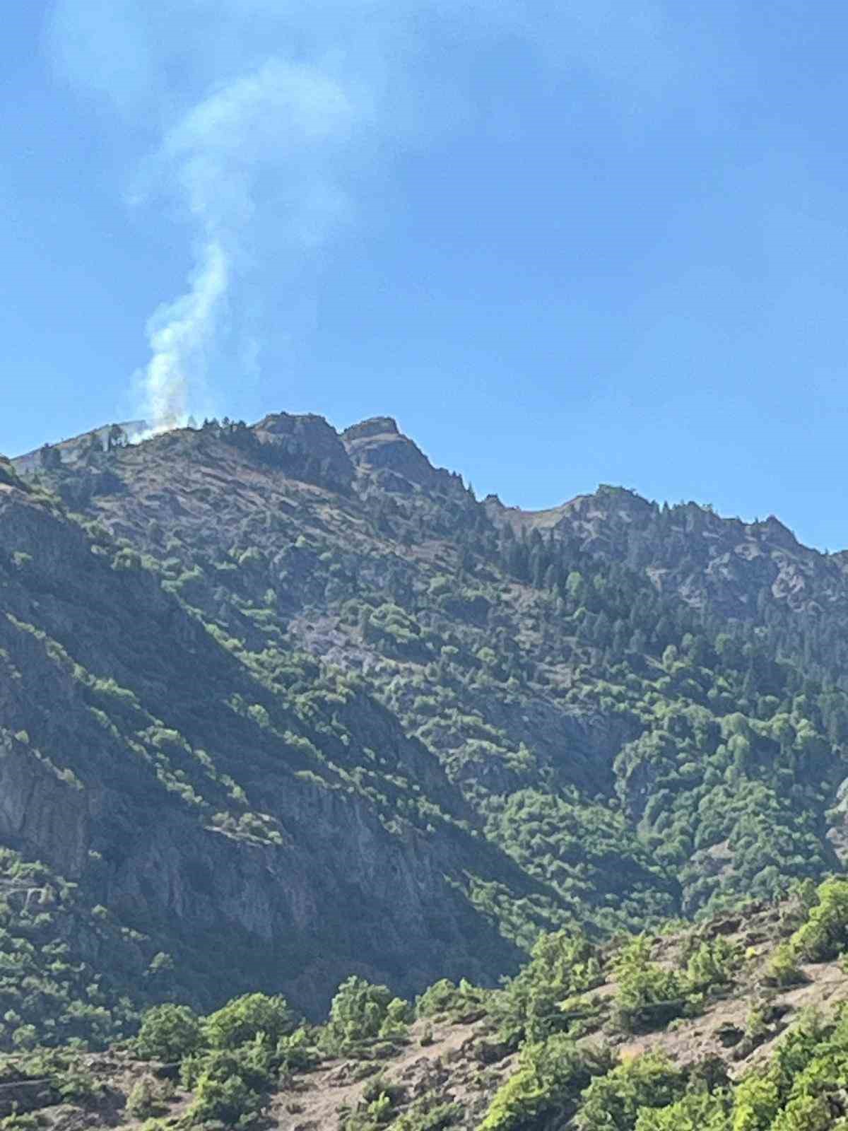 İspir&rsquo;de bitki &ouml;rt&uuml;s&uuml; yangını korkuttu
