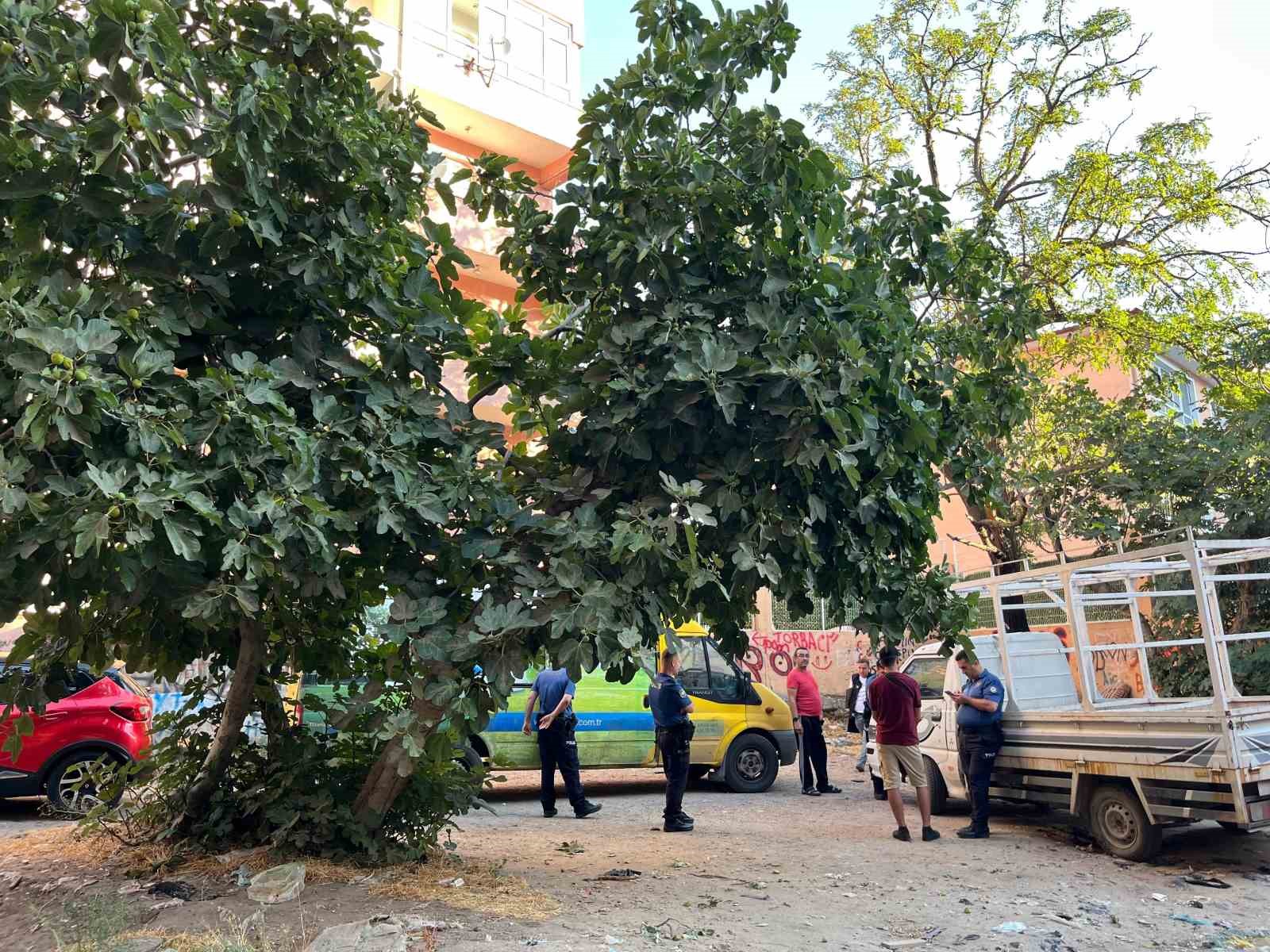 K&ouml;pek gezdirmeye &ccedil;ıkarken, ipten adam aldı
