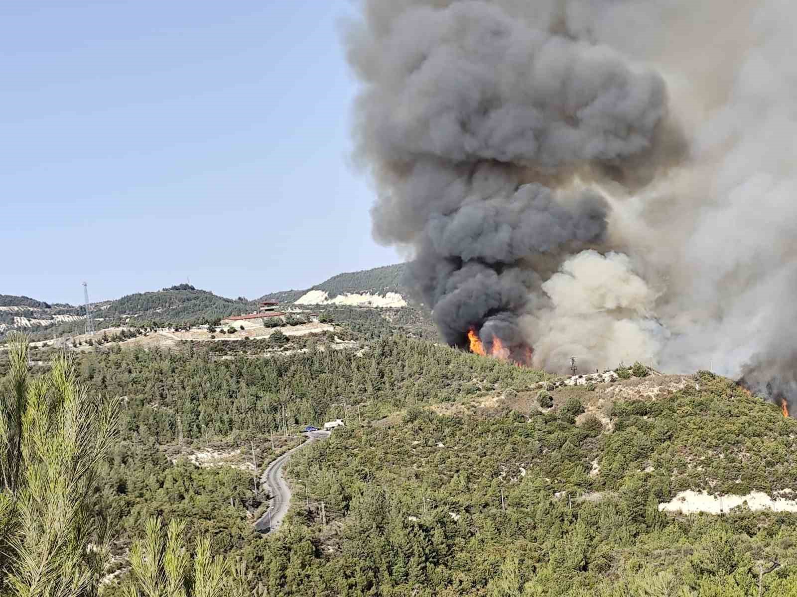 Hatay’da orman yangını