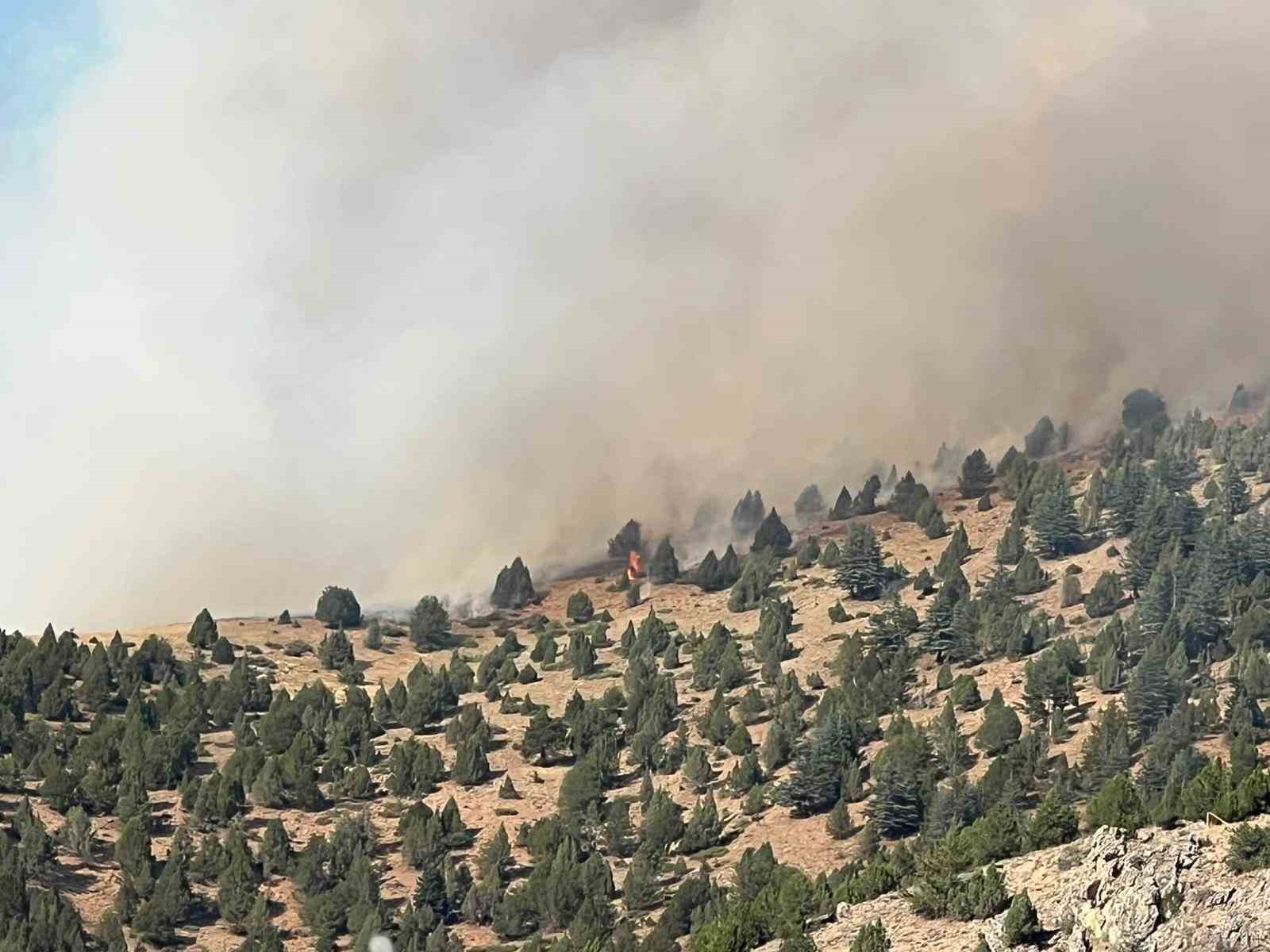 Kahramanmaraş’taki orman yangını ekiplerin müdahalesi sürüyor