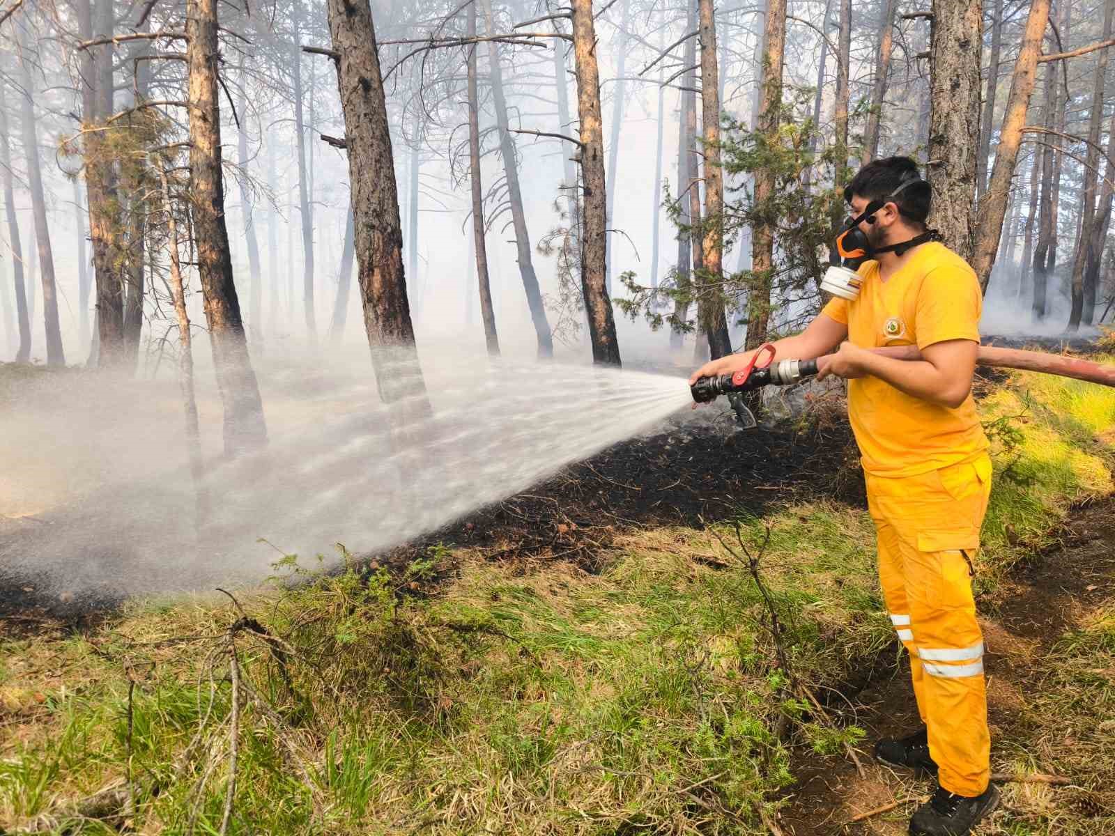 Bolu&rsquo;daki orman yangını 5.saatinde
