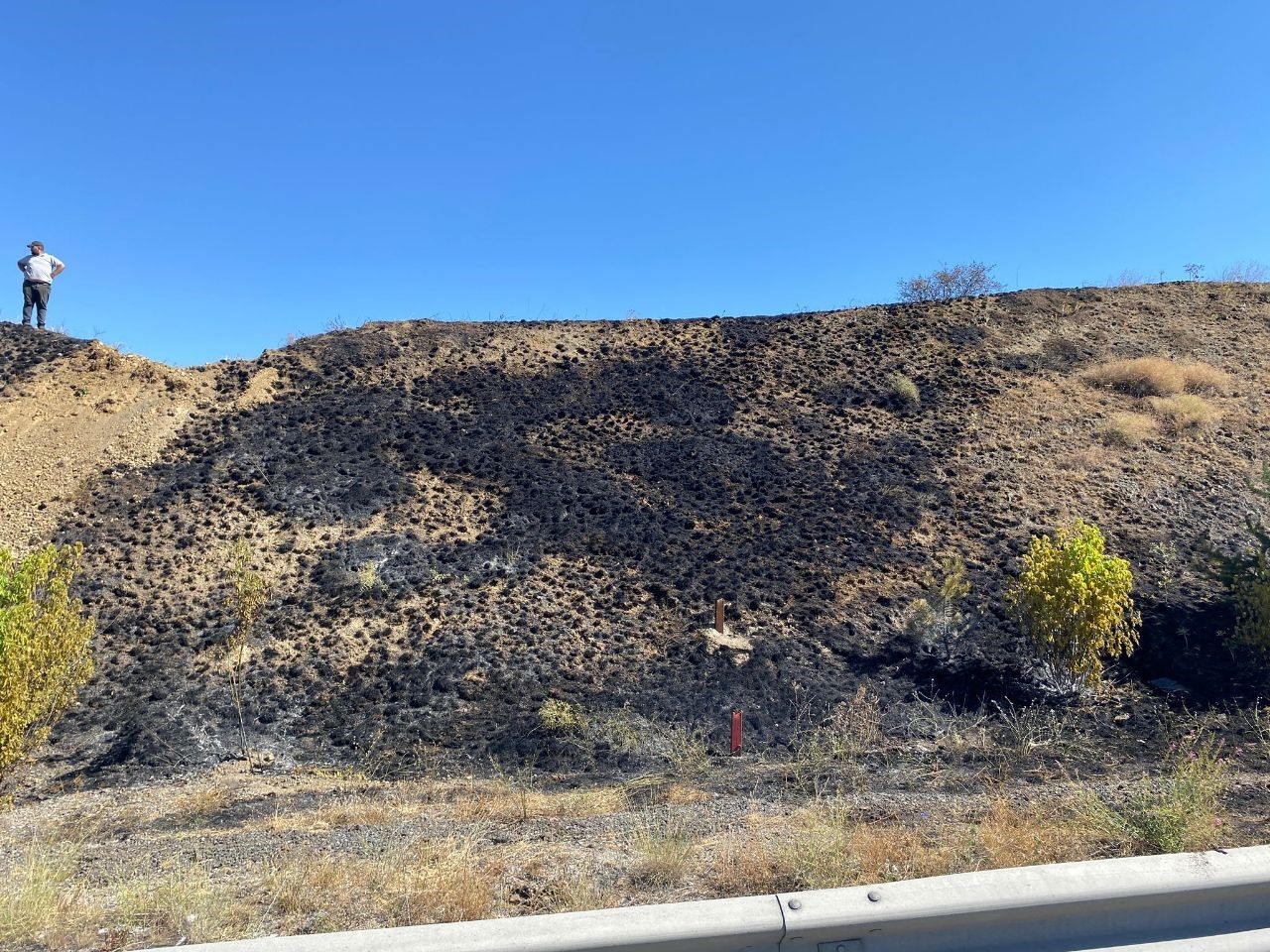Karab&uuml;k&rsquo;te yol kenarında &ccedil;ıkan ot yangını s&ouml;nd&uuml;r&uuml;ld&uuml;
