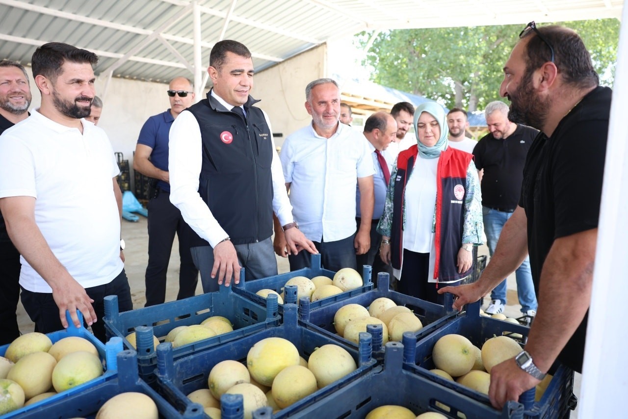 Vali Aslan, uygulama tarlasında incelemelerde bulundu
