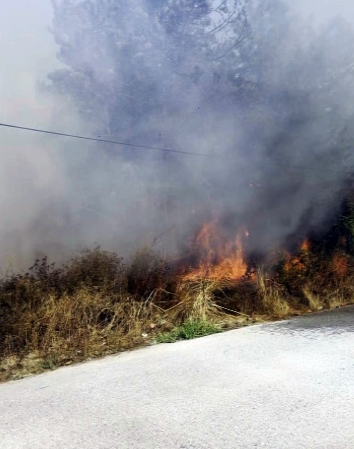Yerleşim alanına yakın ormanlık alanda korkutan yangın: Mahalleli sokağa d&ouml;k&uuml;ld&uuml;
