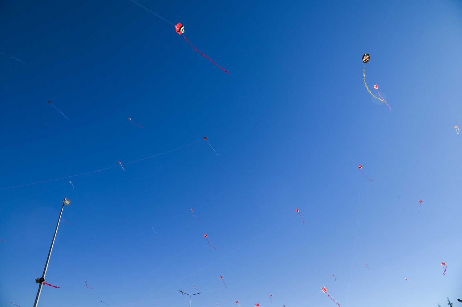 Sel&ccedil;uklu&rsquo;da hafta sonu boyunca u&ccedil;urtmalar g&ouml;ky&uuml;z&uuml;nde buluştu
