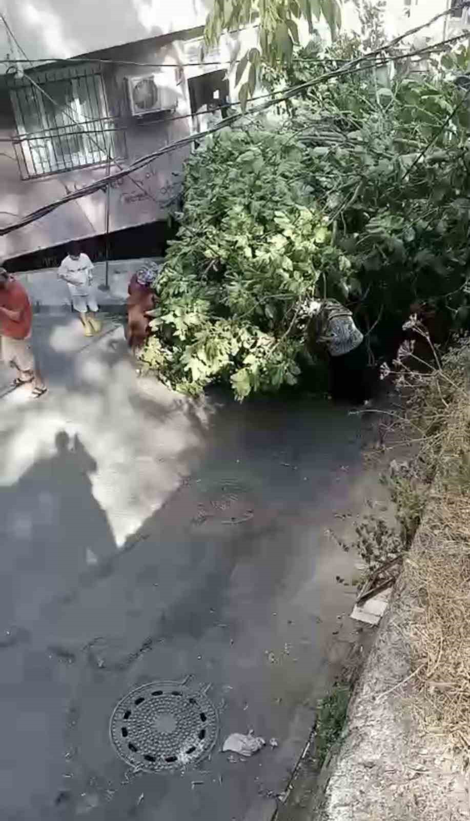 Beyoğlu&rsquo;nda ağa&ccedil; ve elektrik direği ara&ccedil;ların &uuml;zerine devrildi
