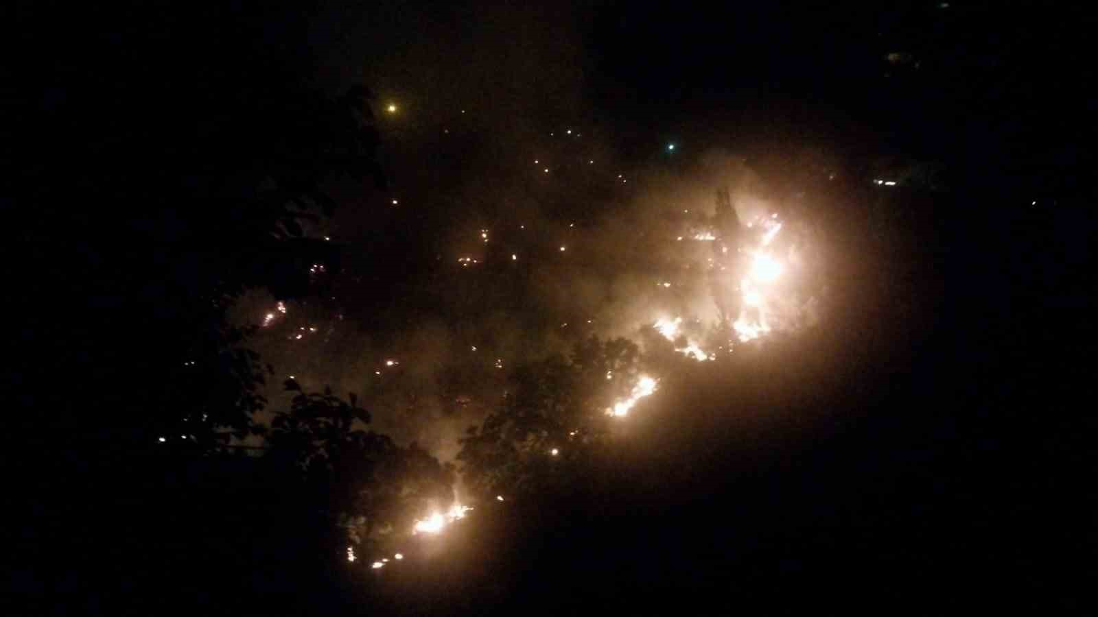 Köşk’te çıkan orman yangınına müdahaleler sürüyor