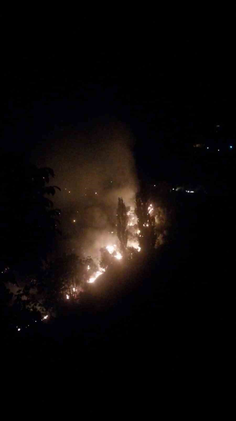 K&ouml;şk&rsquo;te &ccedil;ıkan orman yangınına m&uuml;dahaleler s&uuml;r&uuml;yor
