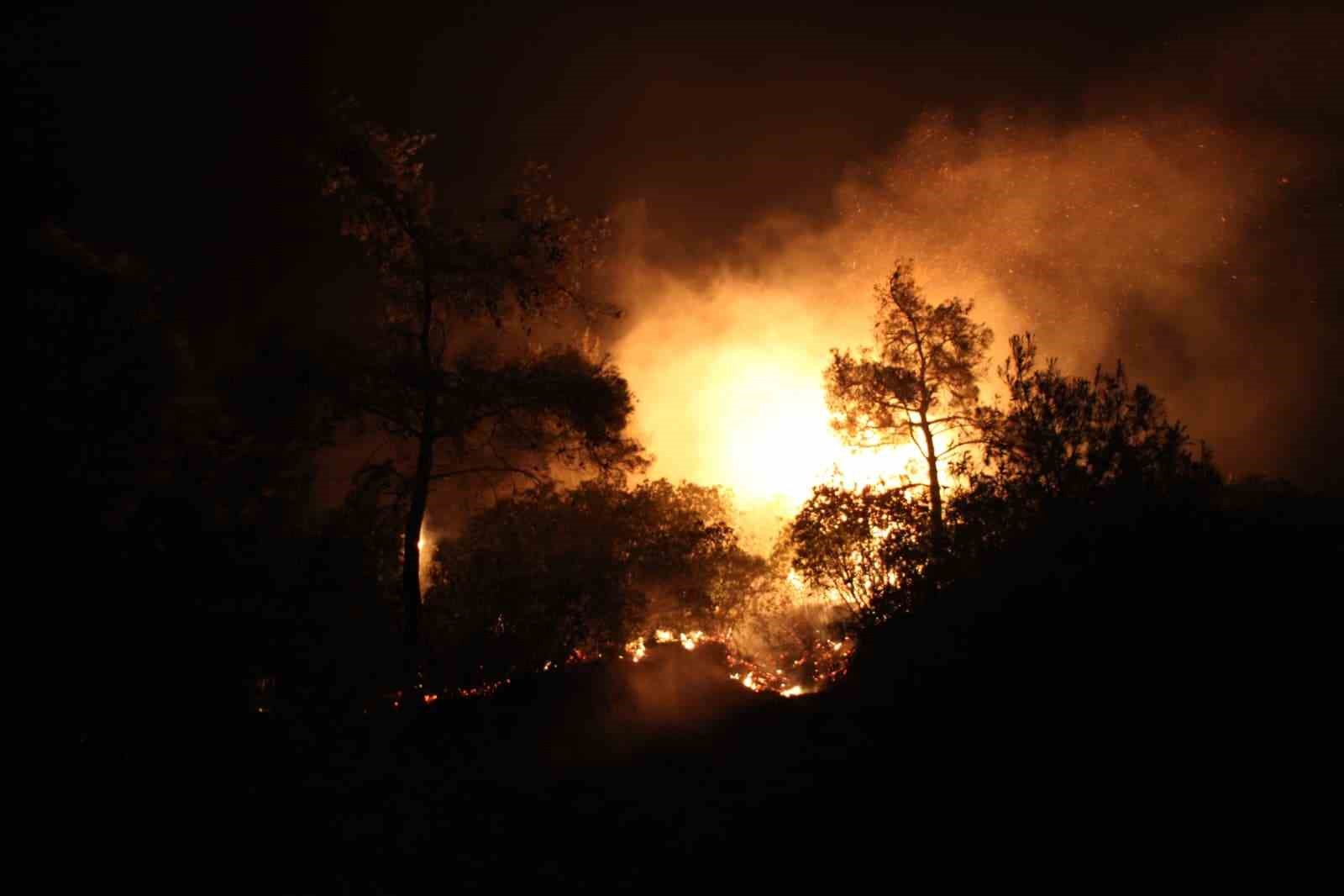 Çanakkale’de yangın etkisini sürdürüyor... Ekiplerin müdahalesi gece de sürüyor