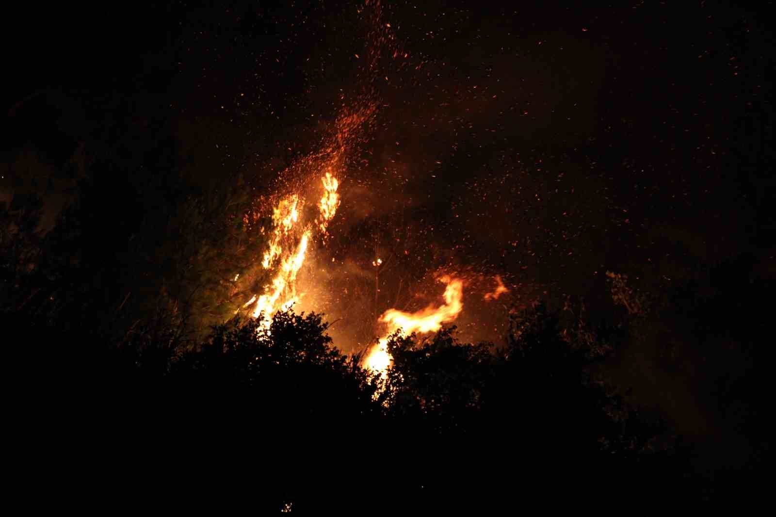 &Ccedil;anakkale&rsquo;de yangın etkisini s&uuml;rd&uuml;r&uuml;yor... Ekiplerin m&uuml;dahalesi gece de s&uuml;r&uuml;yor
