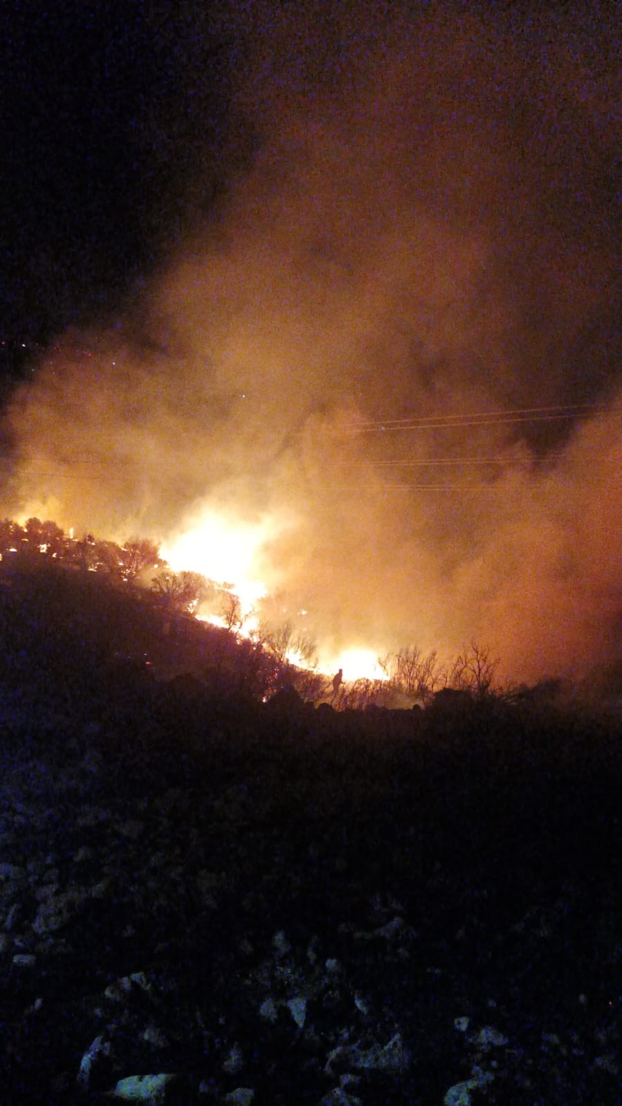 Aliağa’da otluk alanda çıkan yangın söndürüldü
