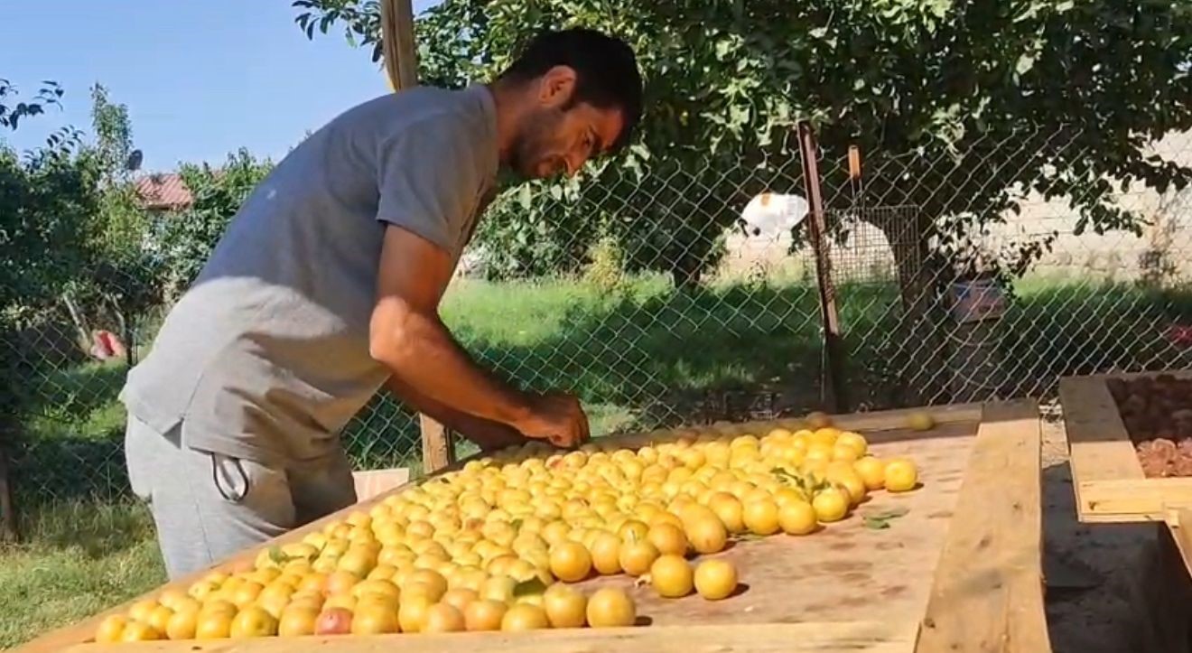 Iğdır’da güneşte kurutulan meyveler pazarda satılıyor