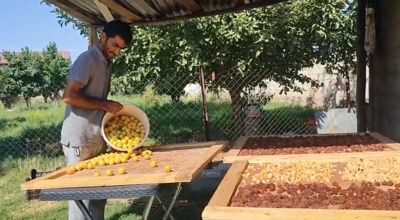 Iğdır&rsquo;da g&uuml;neşte kurutulan meyveler pazarda satılıyor
