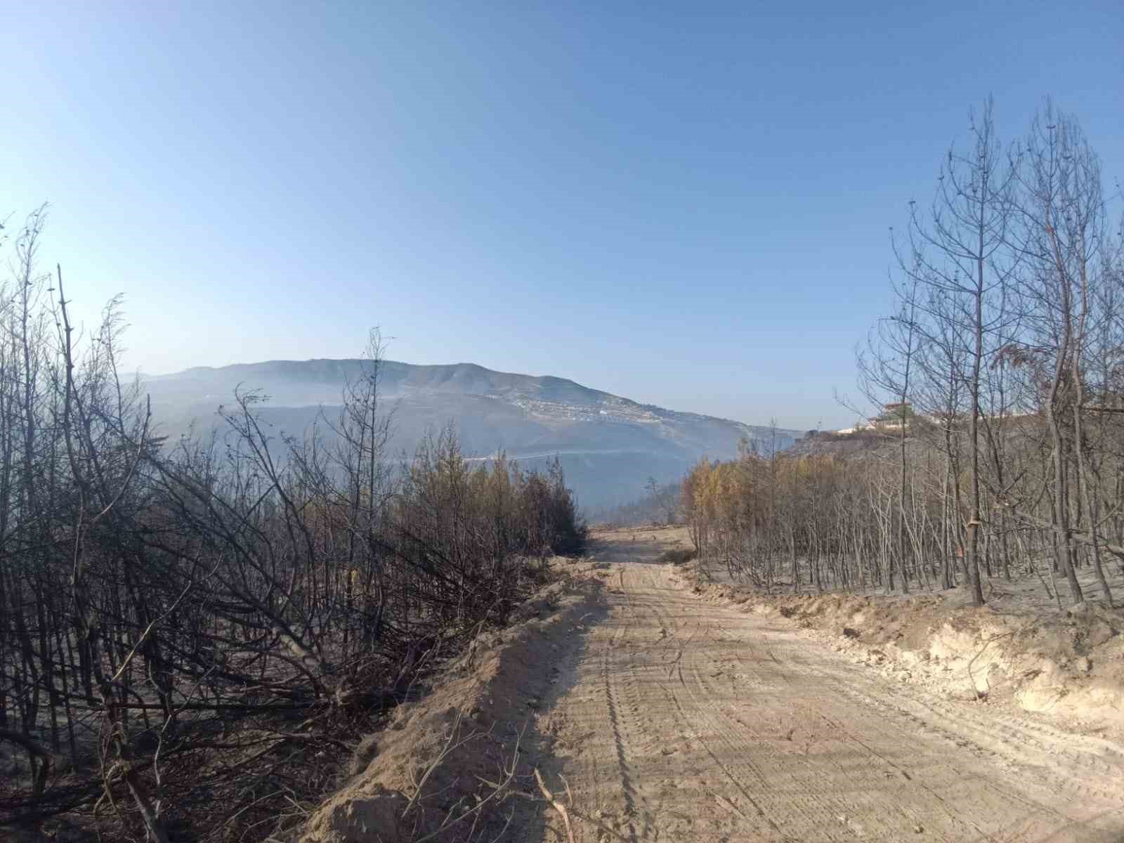 Hatay’da orman yangını kontrol altına alındı