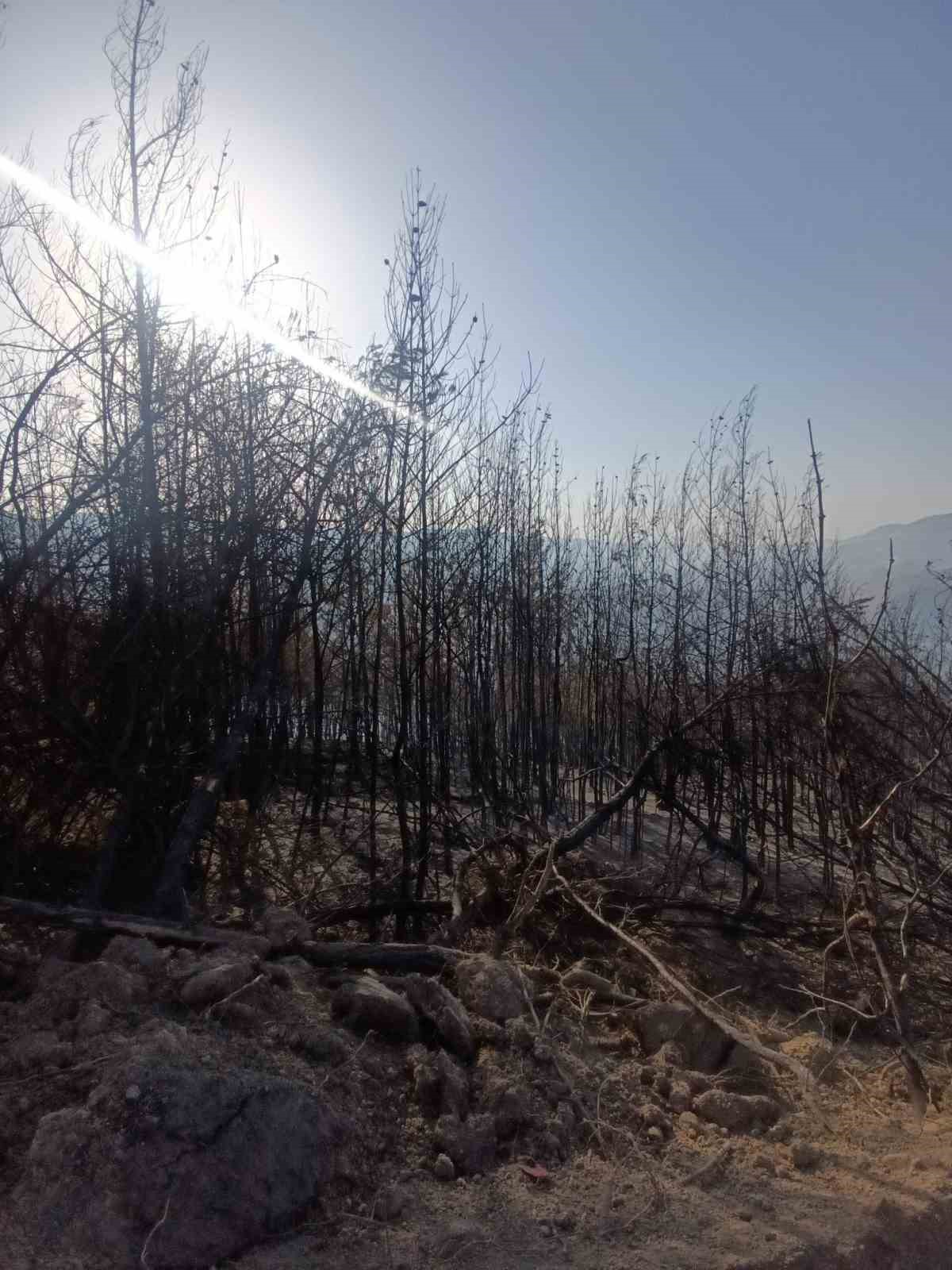 Hatay’da orman yangını kontrol altına alındı