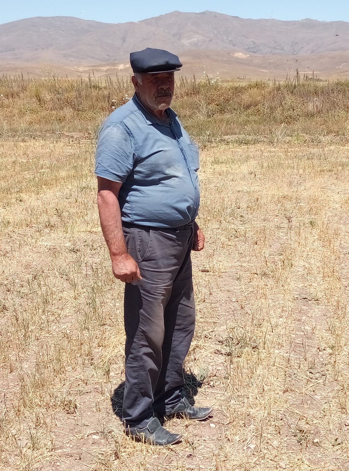 Bayburt’un Çayırköprü köyünde 194 balya ot çalındı