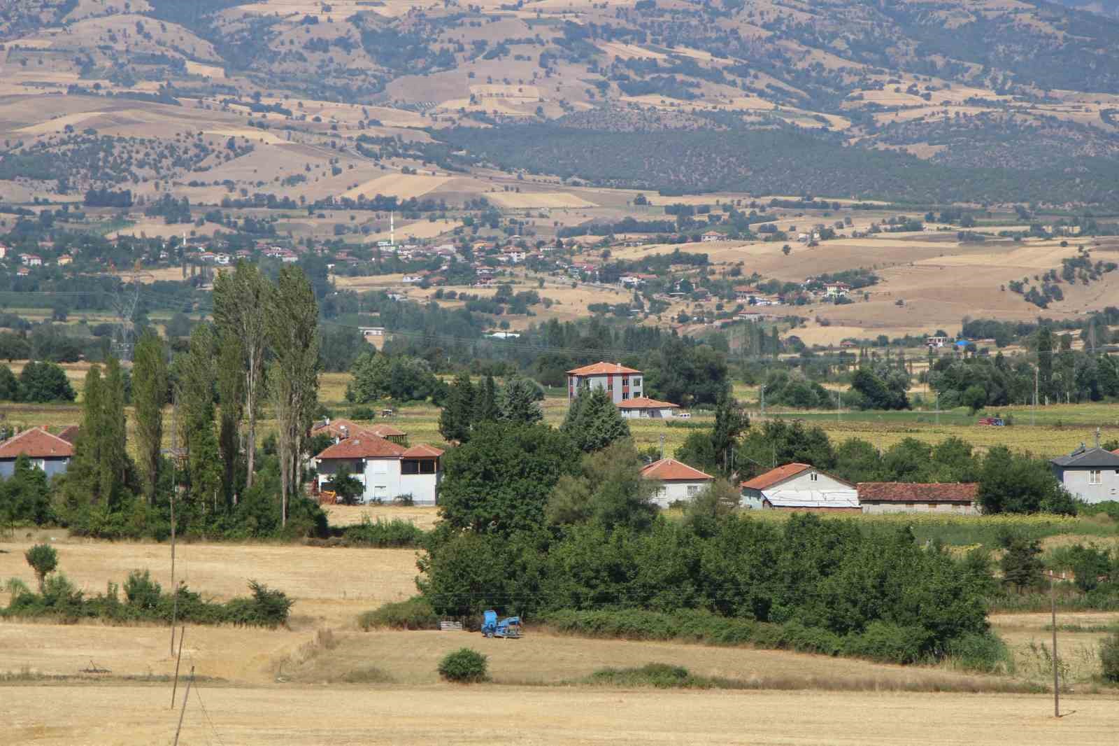 Amasya’nın tescilli bamyasına Afrika’dan rakip çıktı