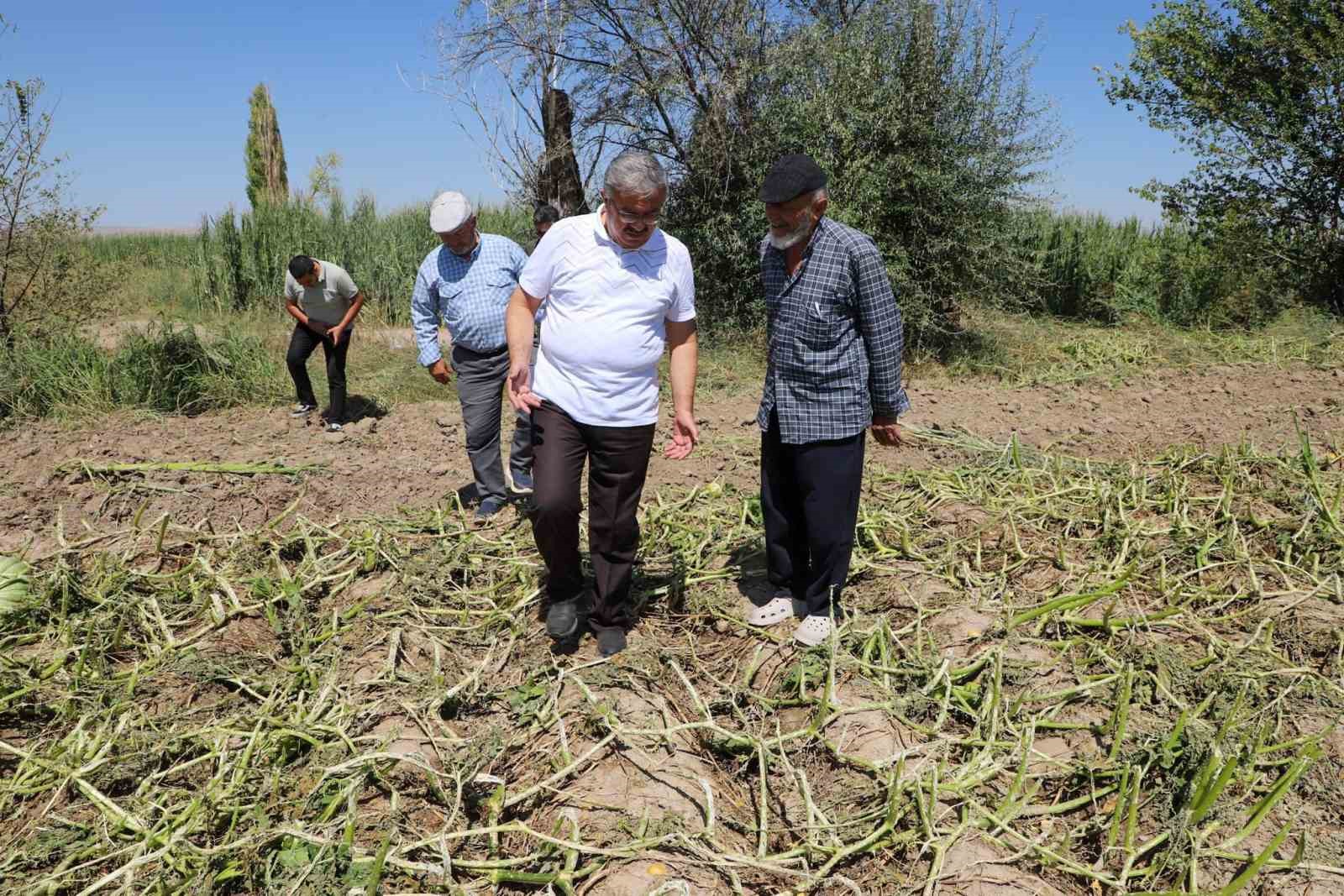 Milletvekili Yurdunuseven zarar gören tarım arazilerini inceledi