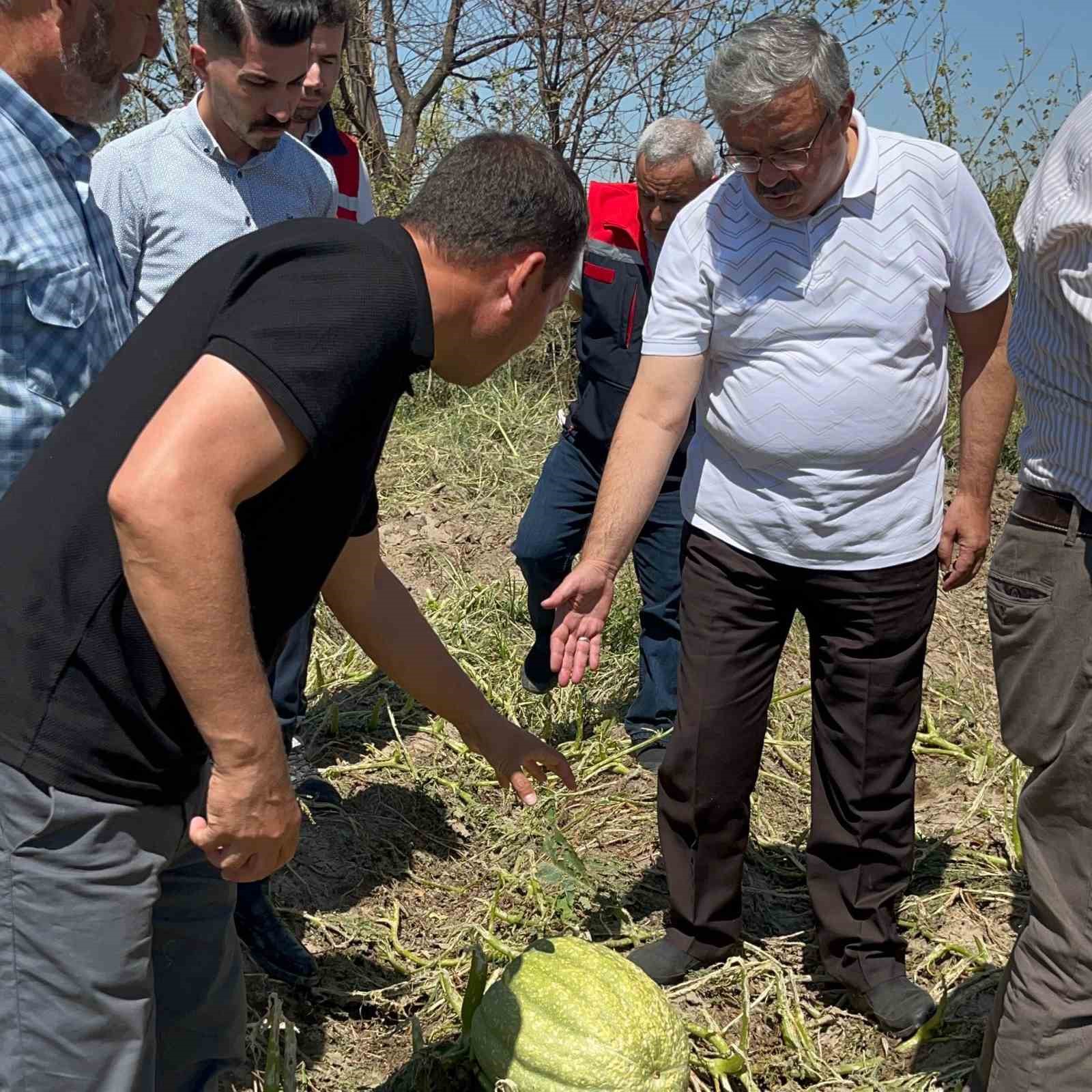 Milletvekili Yurdunuseven zarar g&ouml;ren tarım arazilerini inceledi
