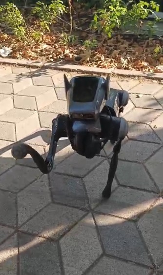 Kent merkezindeki robot k&ouml;pek g&ouml;renleri hayrete d&uuml;ş&uuml;rd&uuml;
