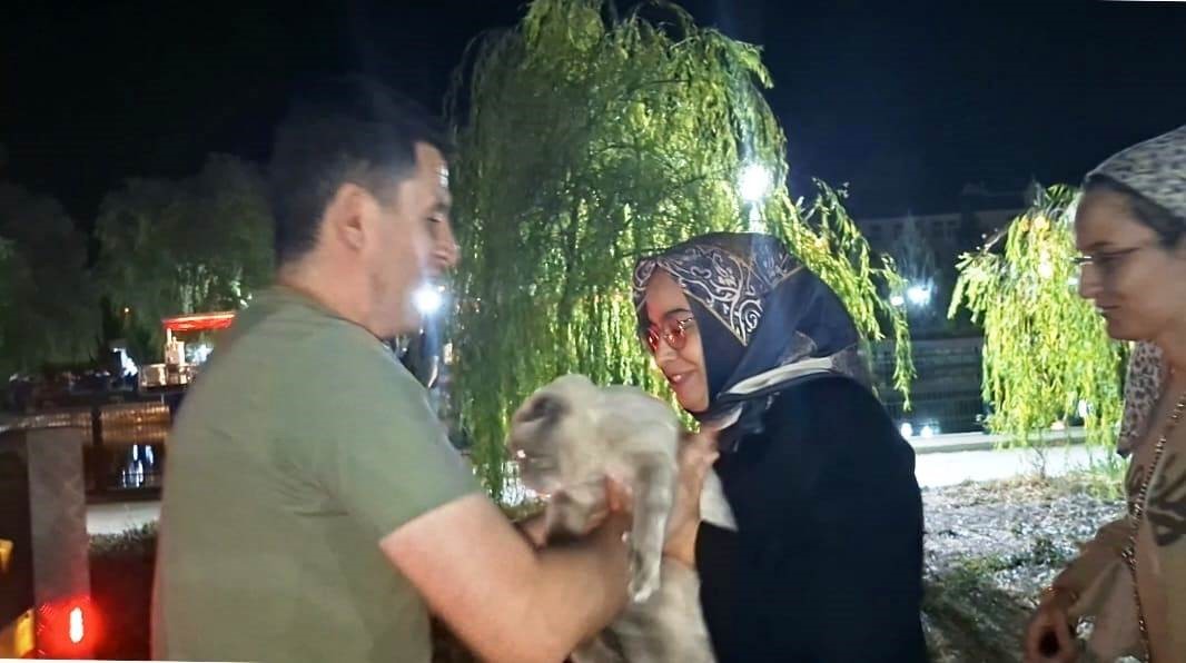 Hisarcık&rsquo;ta ağa&ccedil;ta mahsur kalan kedi itfaiye ekipleri tarafından kurtarıldı
