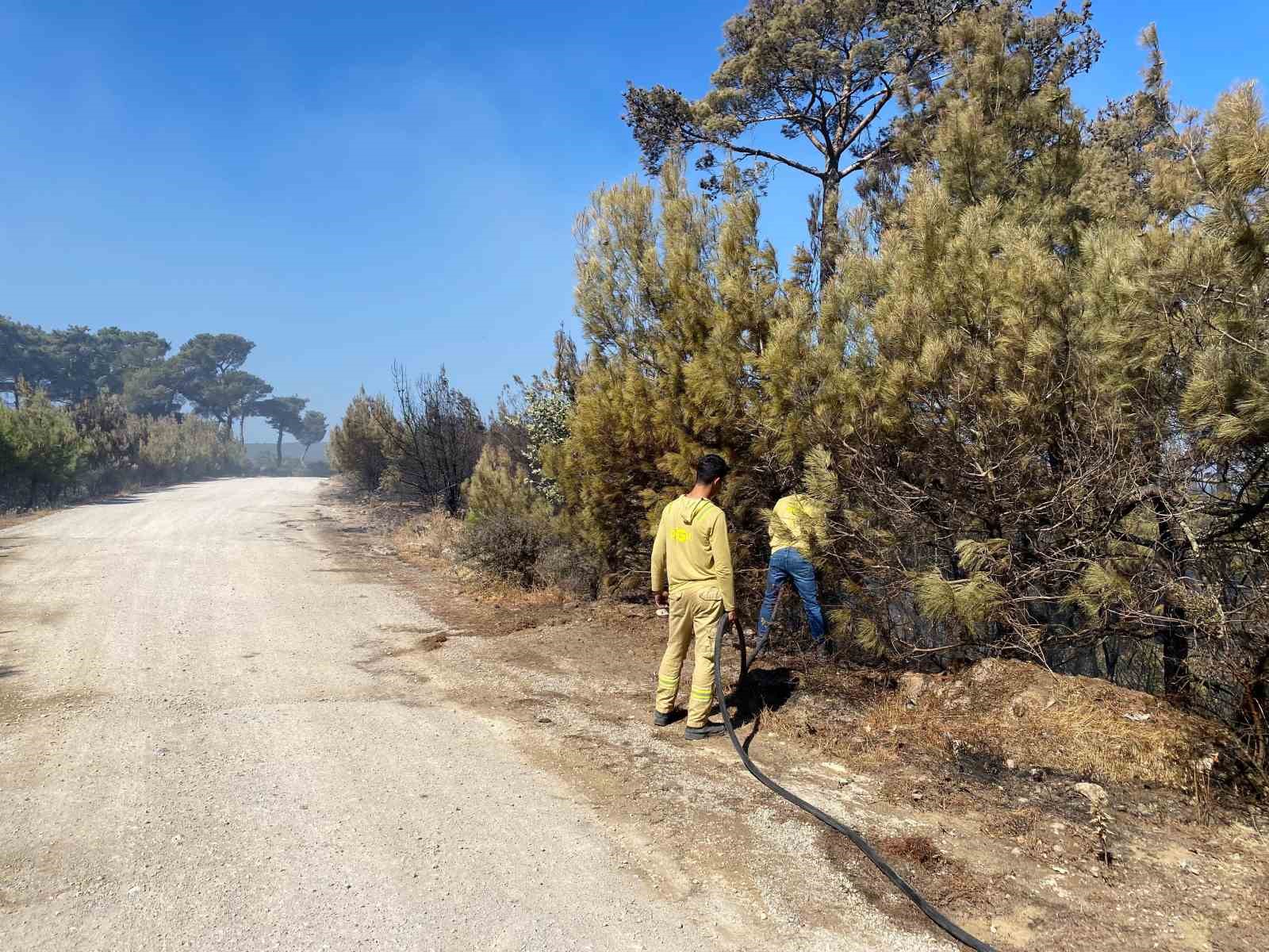 Ayvacık il&ccedil;esinde &ccedil;&ouml;pl&uuml;kte başlayarak ormanlık alana sı&ccedil;rayan yangın b&uuml;y&uuml;k &ouml;l&ccedil;&uuml;de kontrol altına alındı
