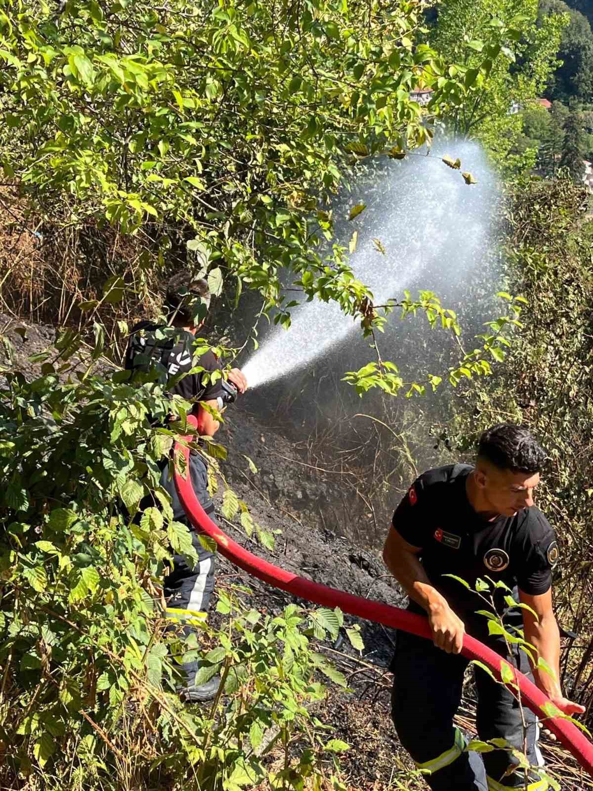 Kozlu’da anız yangını büyümeden söndürüldü