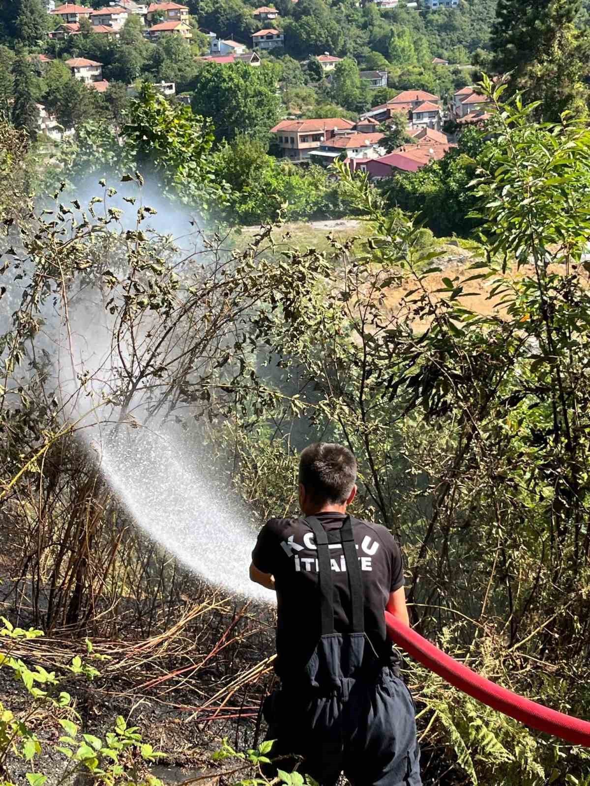 Kozlu&rsquo;da anız yangını b&uuml;y&uuml;meden s&ouml;nd&uuml;r&uuml;ld&uuml;
