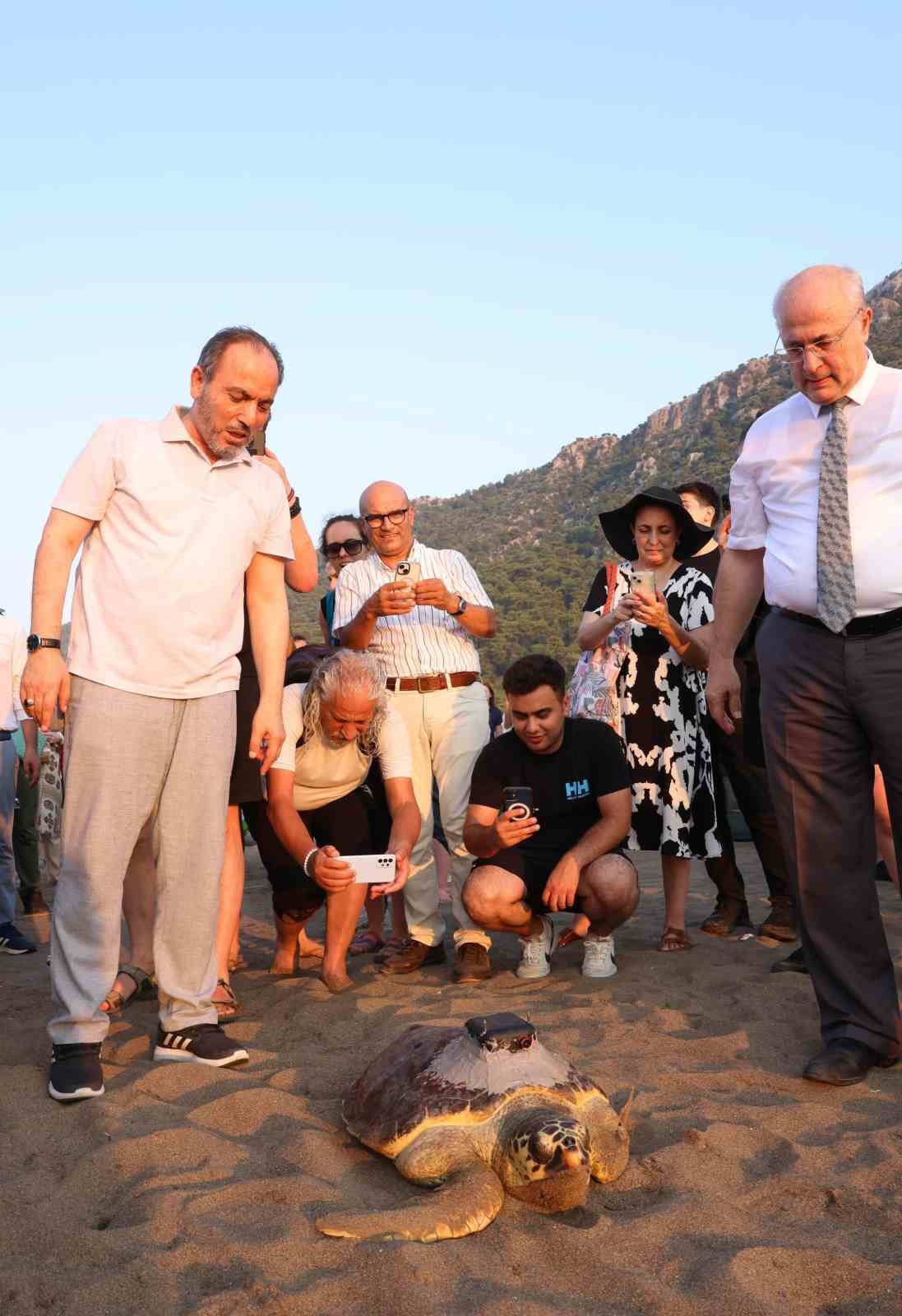 Tedavi edilen caretta carettaların mavi yolculuğu ilk kez yerli uydu ile izlenecek
