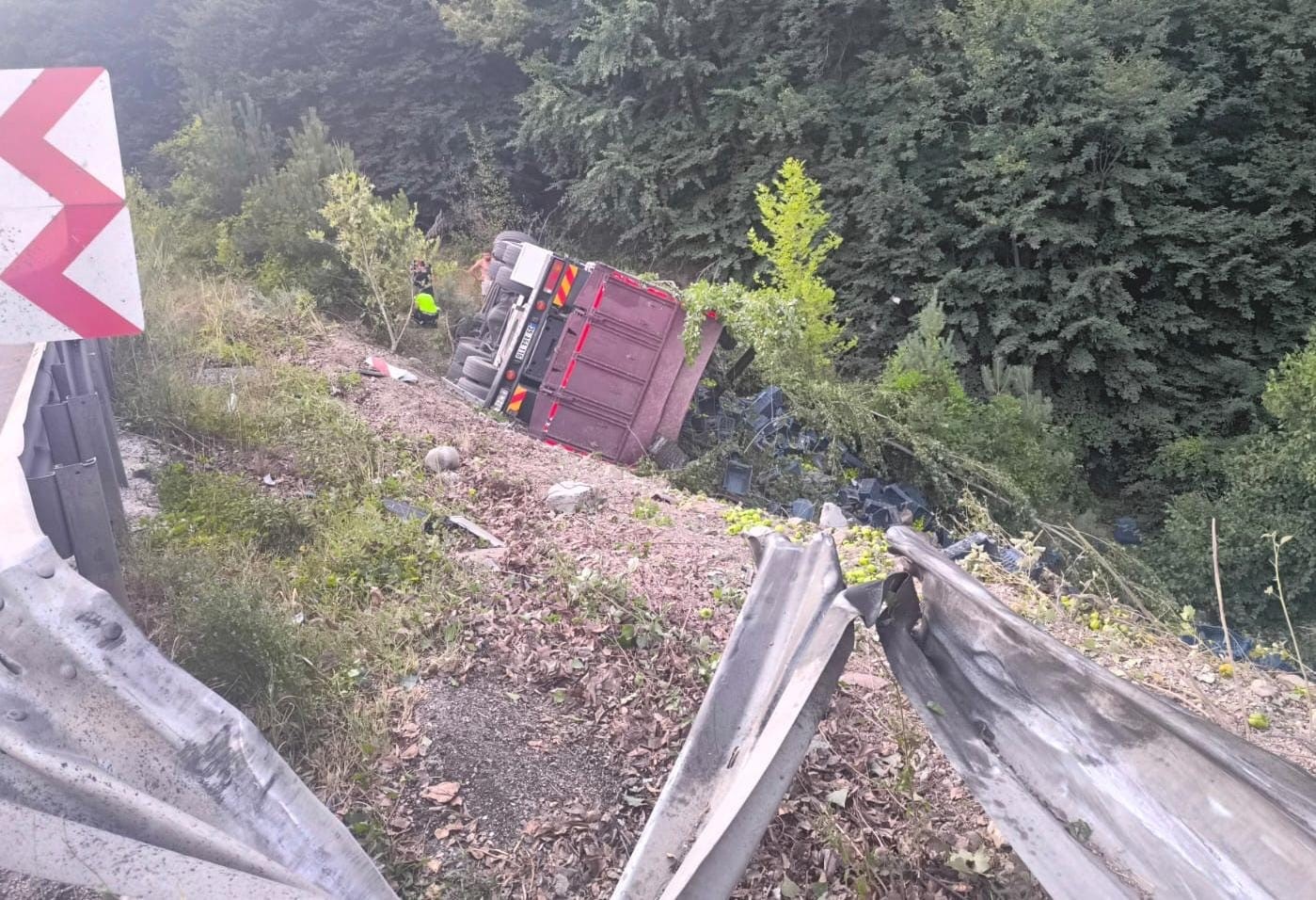 Kontrolden çıkan kamyon şarampole yuvarlandı: 3 yaralı
