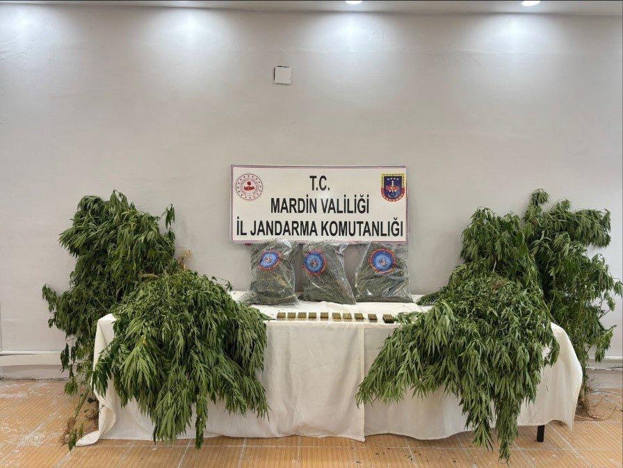 Mardin’de uyuşturucu operasyonu: 1 tutuklama