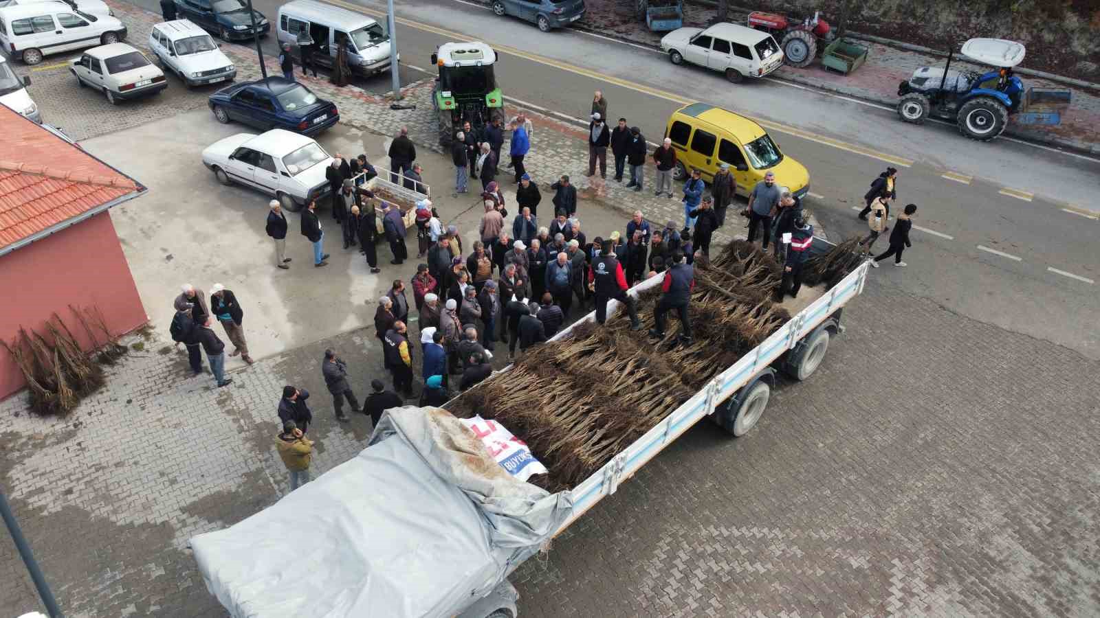 Cevizin başkenti artık Denizli