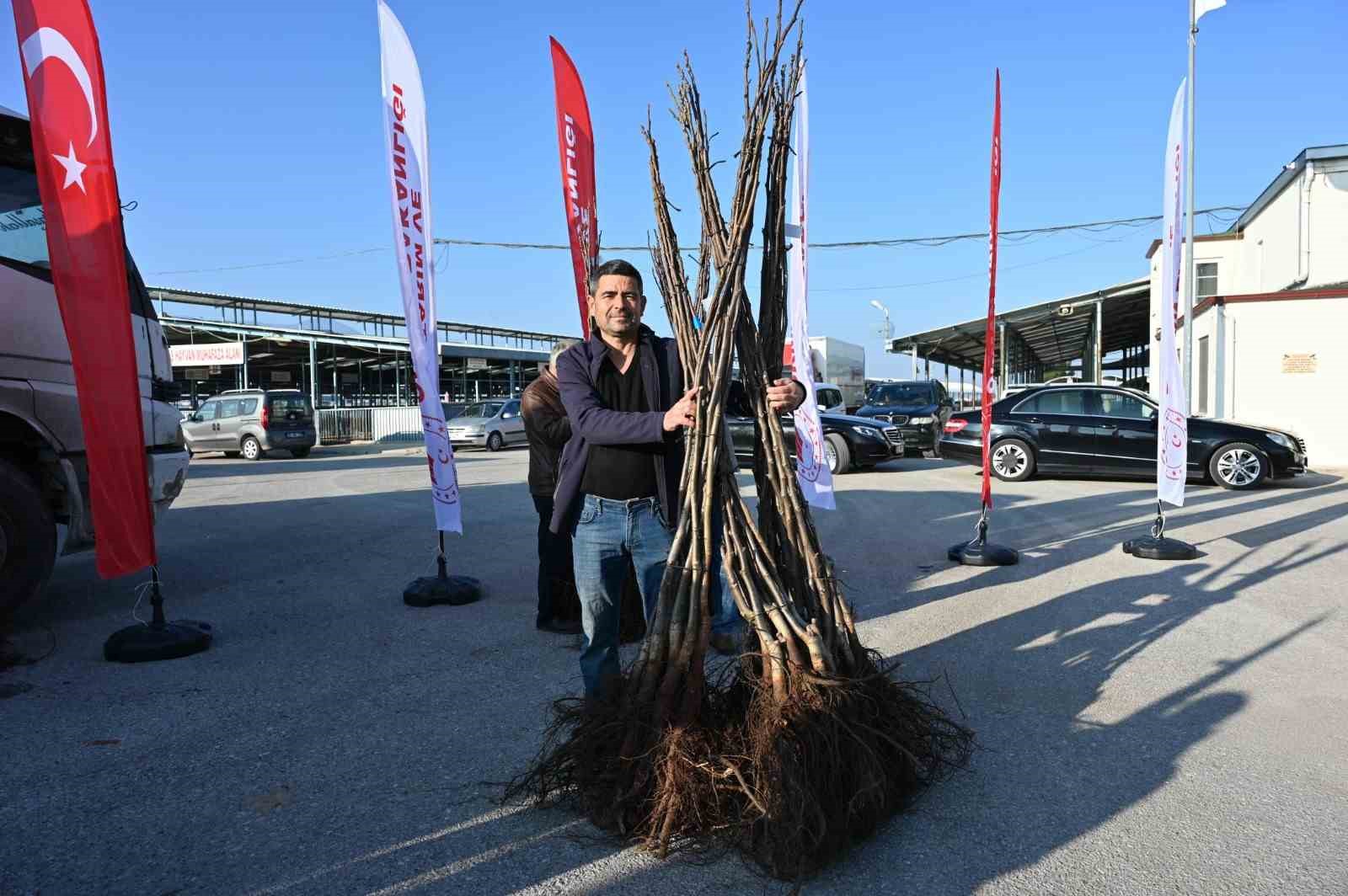 Cevizin başkenti artık Denizli
