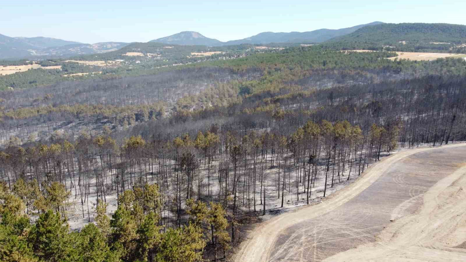 Bolu’daki orman yangını tamamen kontrol altına alındı