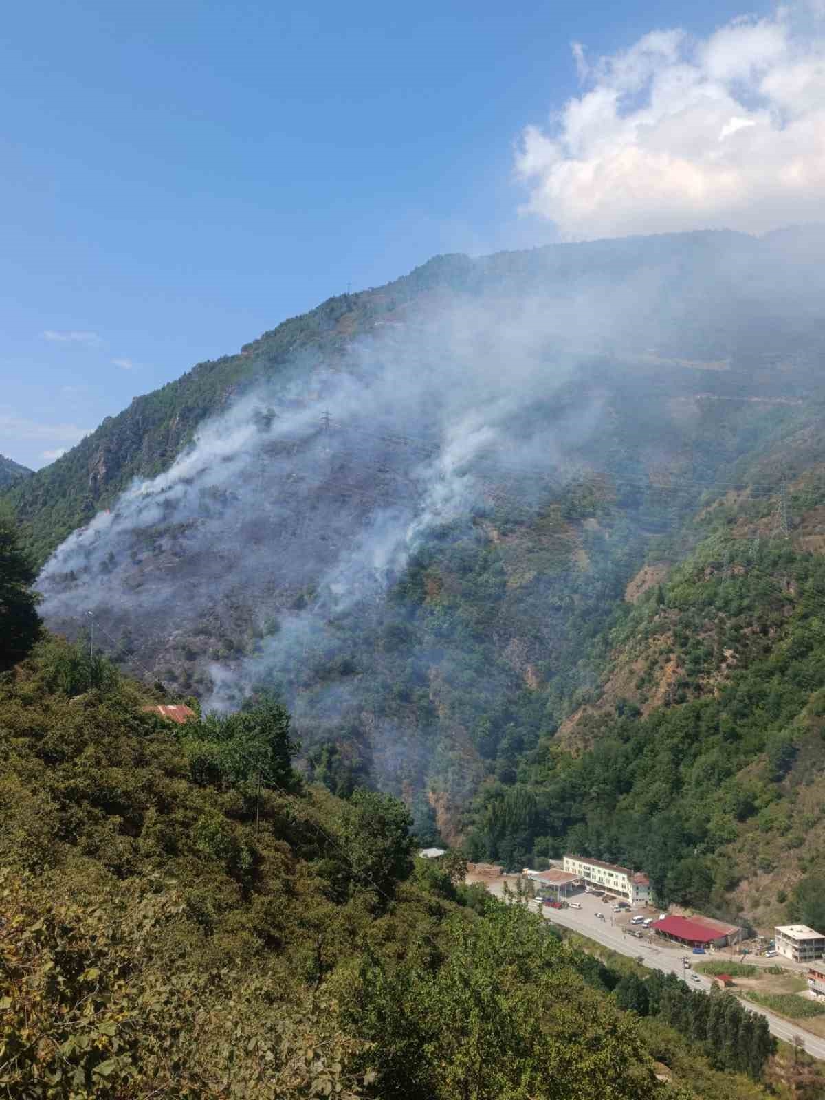Gümüşhane’de ağaçlık alanda yangın

