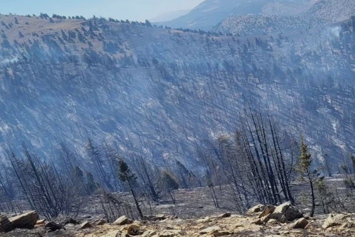 Kahramanmaraş’taki orman yangını sürüyor