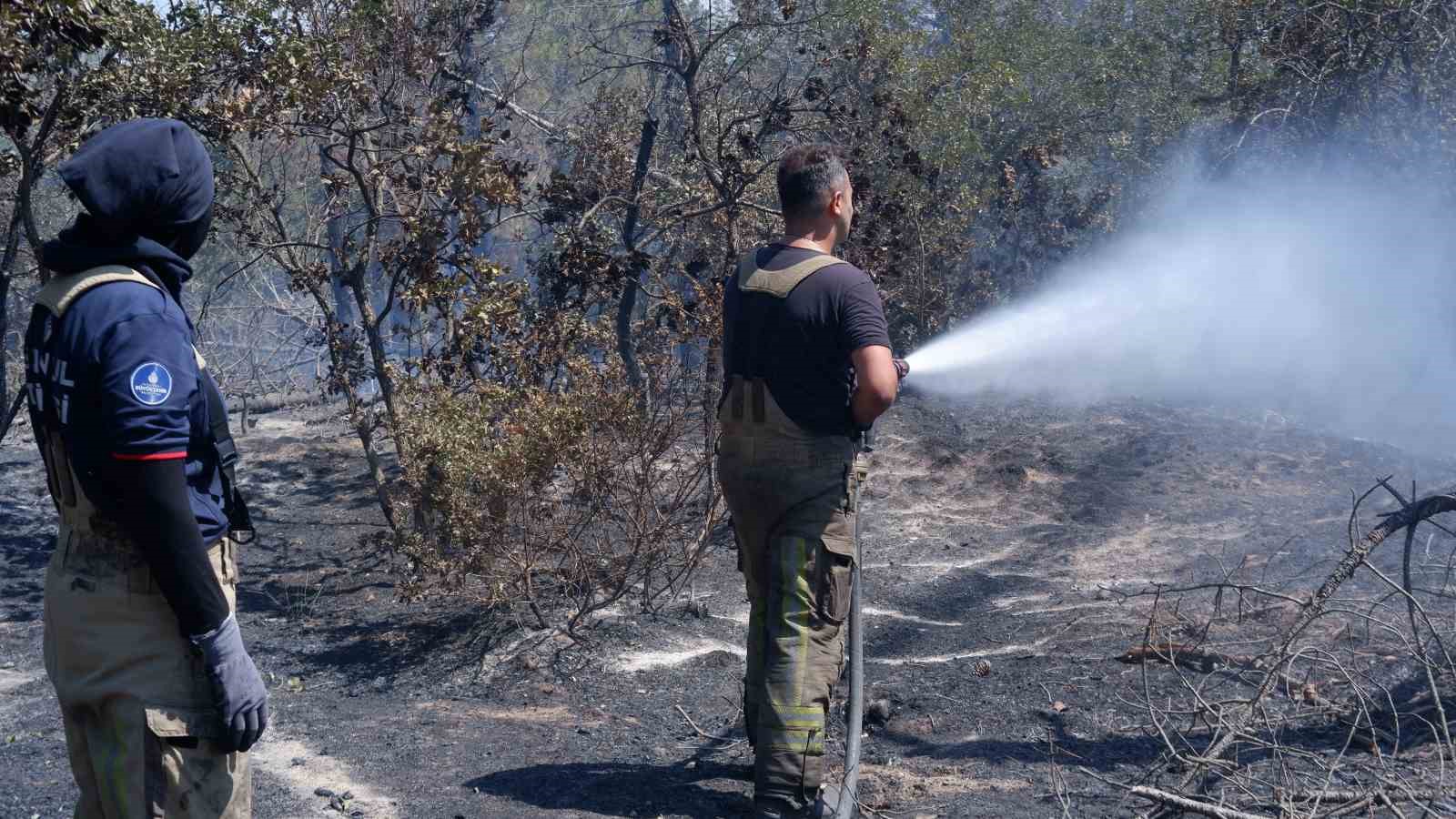 Yanan ormanın g&ouml;r&uuml;nt&uuml;s&uuml; y&uuml;rekleri dağladı
