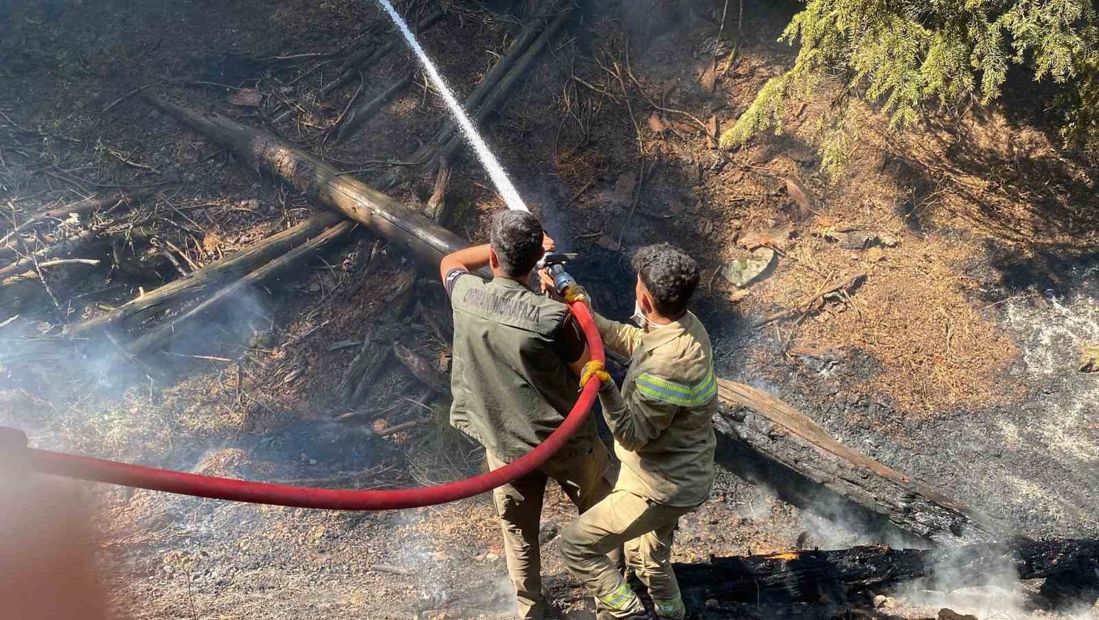 Kahramanmaraş’taki orman yangınına müdahale sürüyor