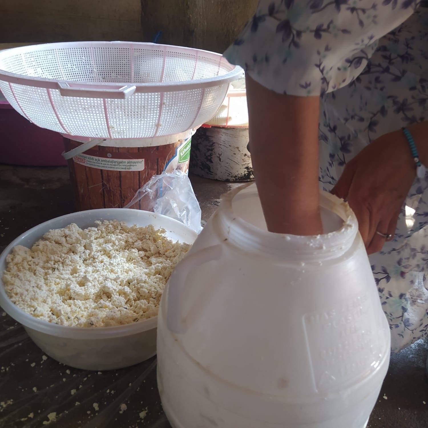 Kuma gömülerek olgunlaştırılan küp peyniri, asırlık lezzetini koruyor