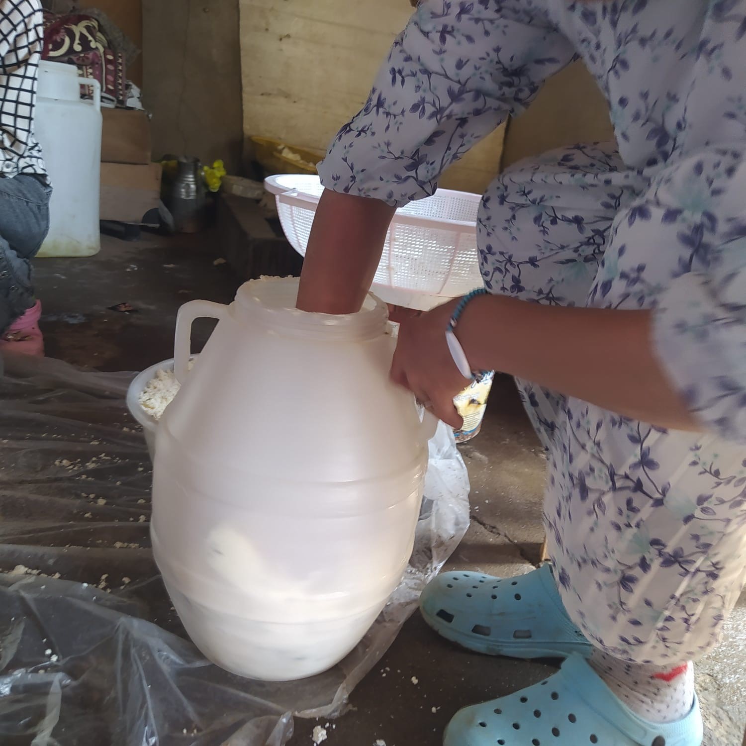 Kuma gömülerek olgunlaştırılan küp peyniri, asırlık lezzetini koruyor