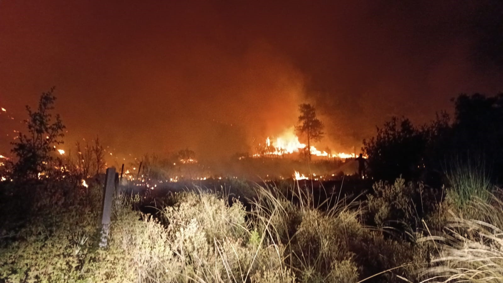 Serik’te tarım arazisinden ormana sıçrayan yangın 5 saatte söndürüldü